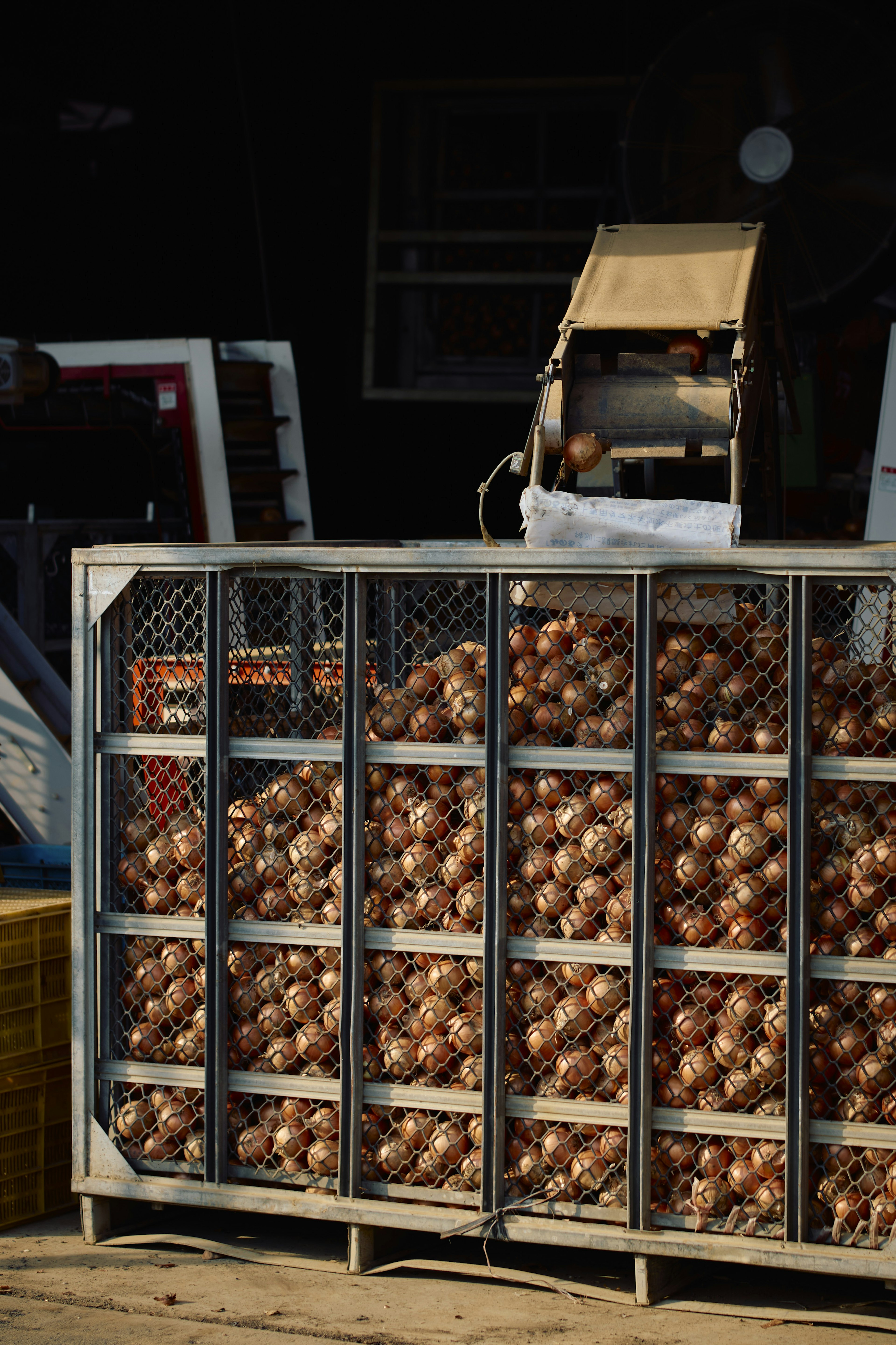 Rak metal yang penuh dengan bawang ditampilkan di luar