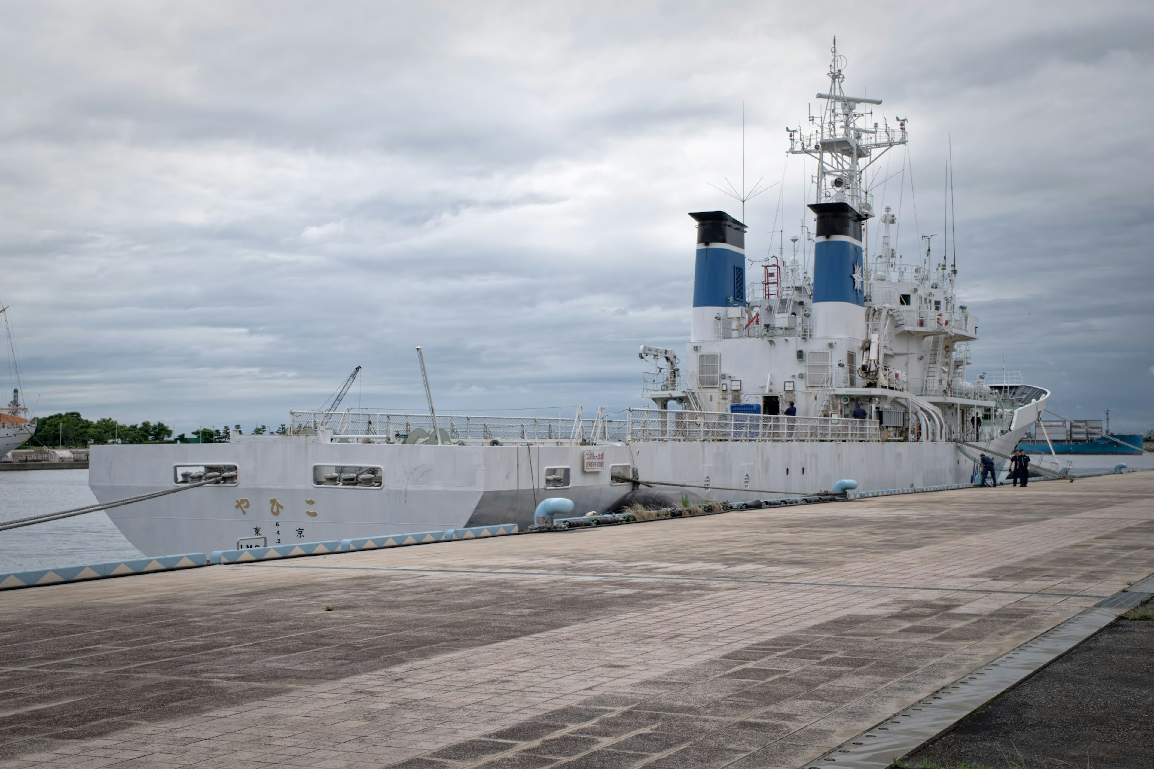 A large white ship docked at a harbor under a cloudy sky