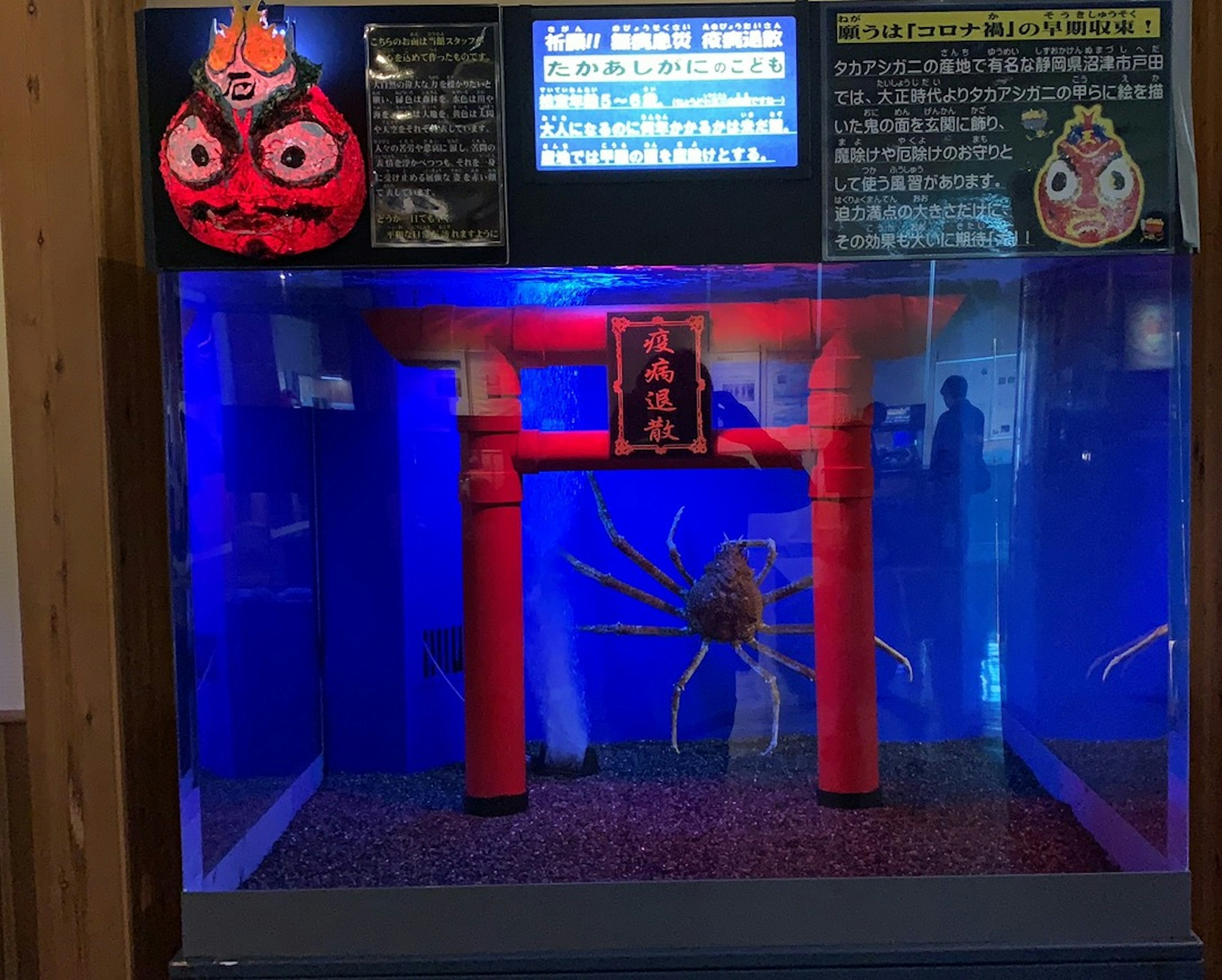 Acuario con una puerta torii roja y un cangrejo nadando dentro