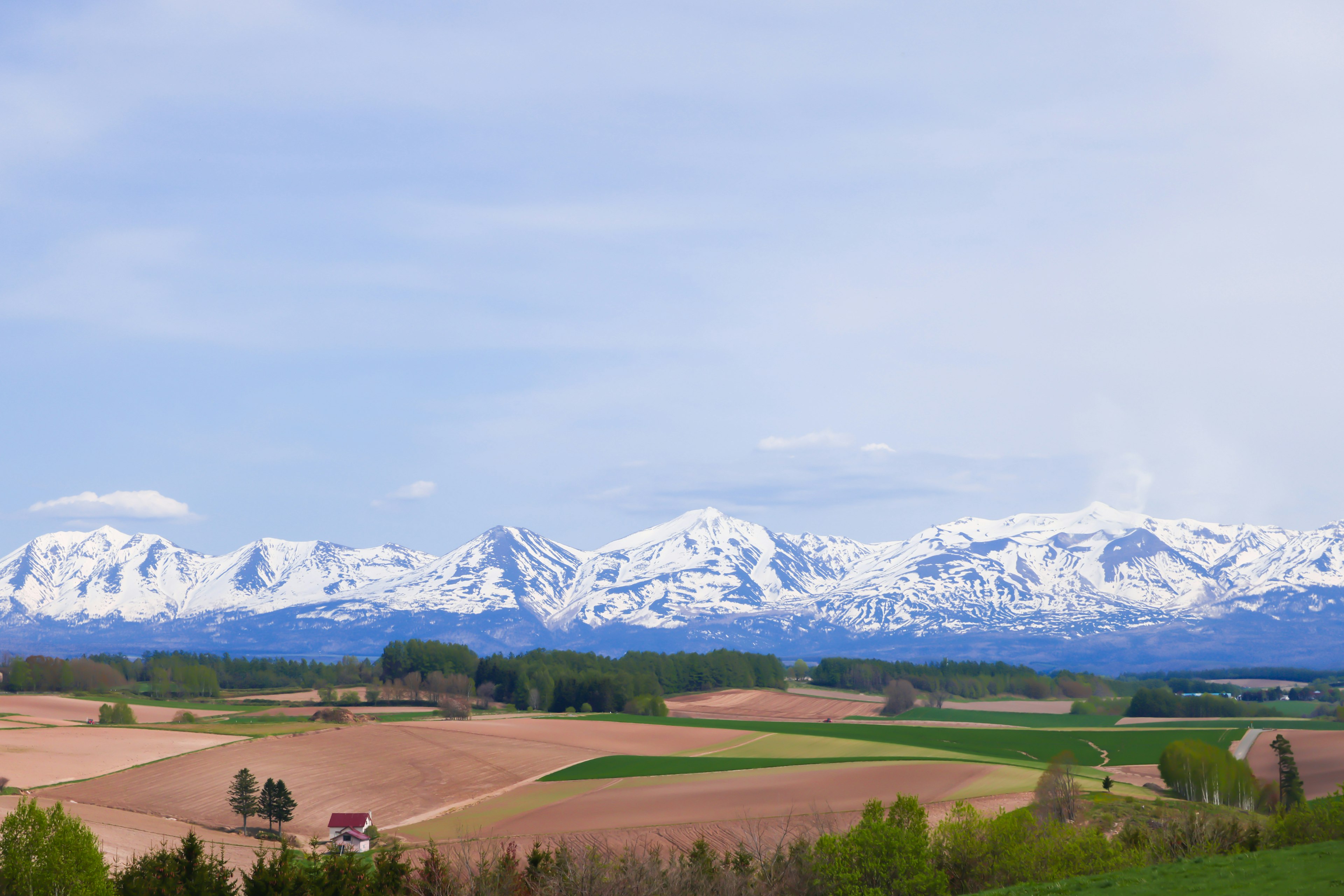 Snow-capped mountains under a blue sky with lush green fields