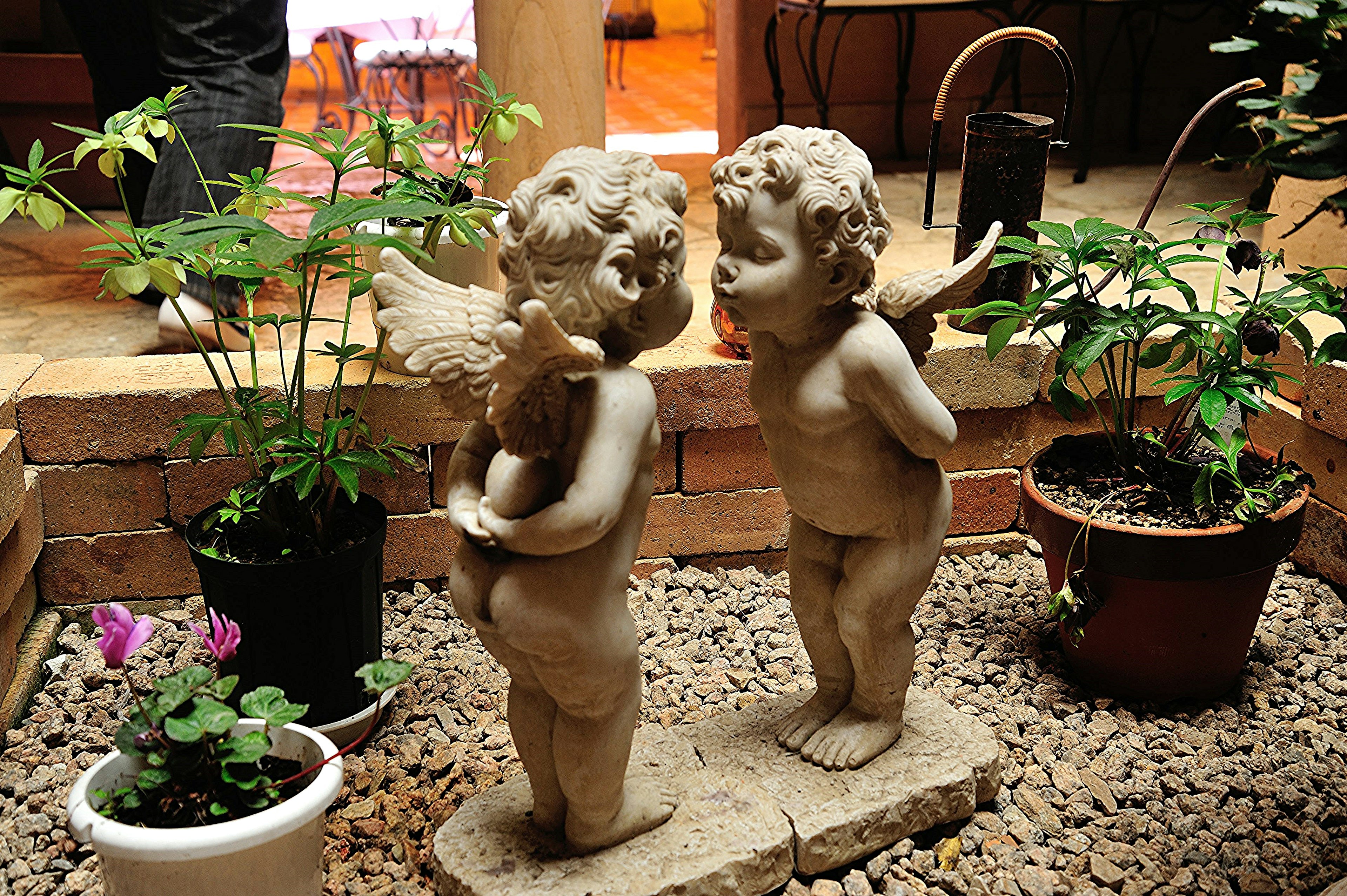 Dos estatuas de querubines en un jardín rodeado de plantas