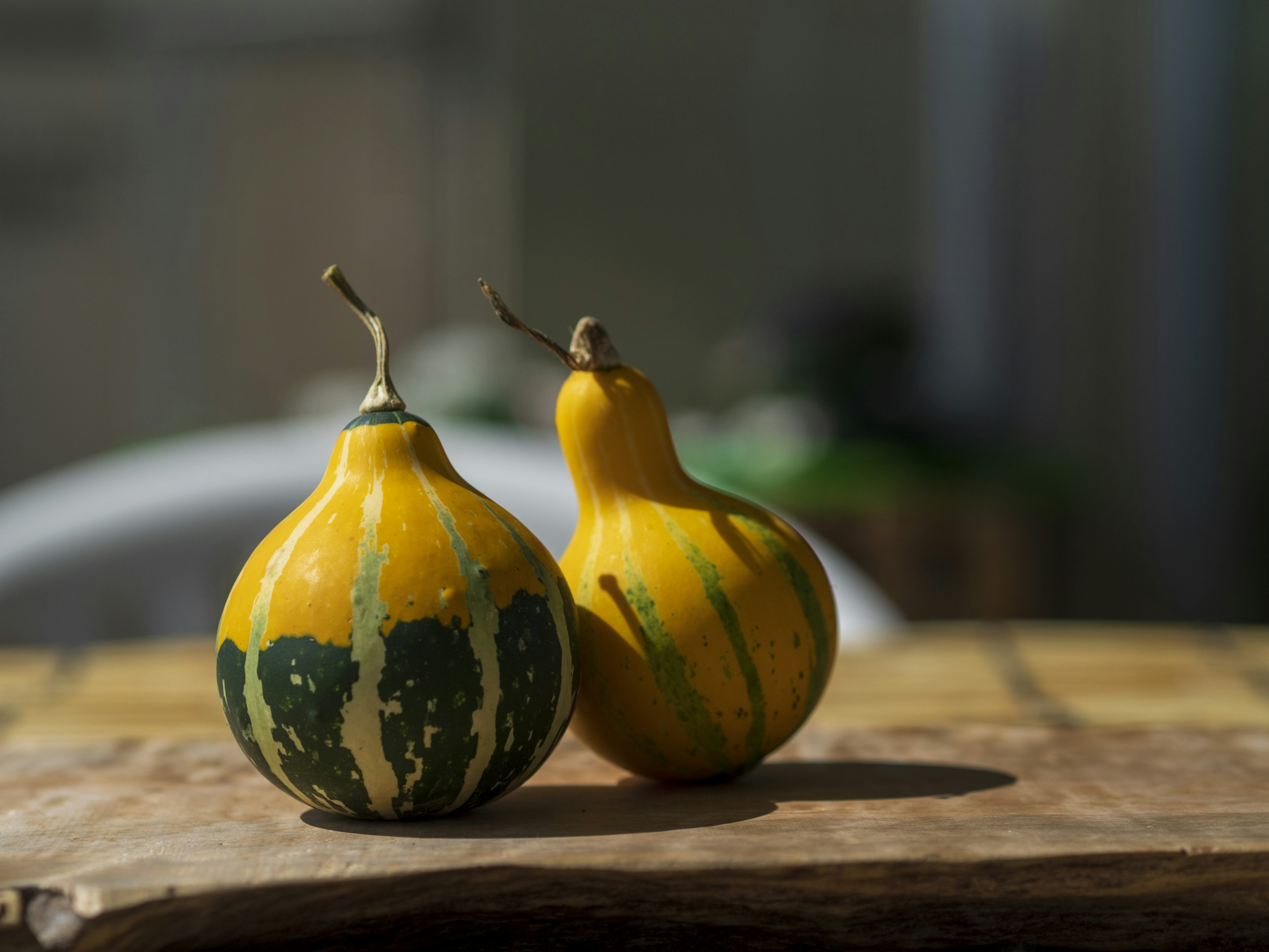 Two yellow and green patterned gourds placed on a wooden table