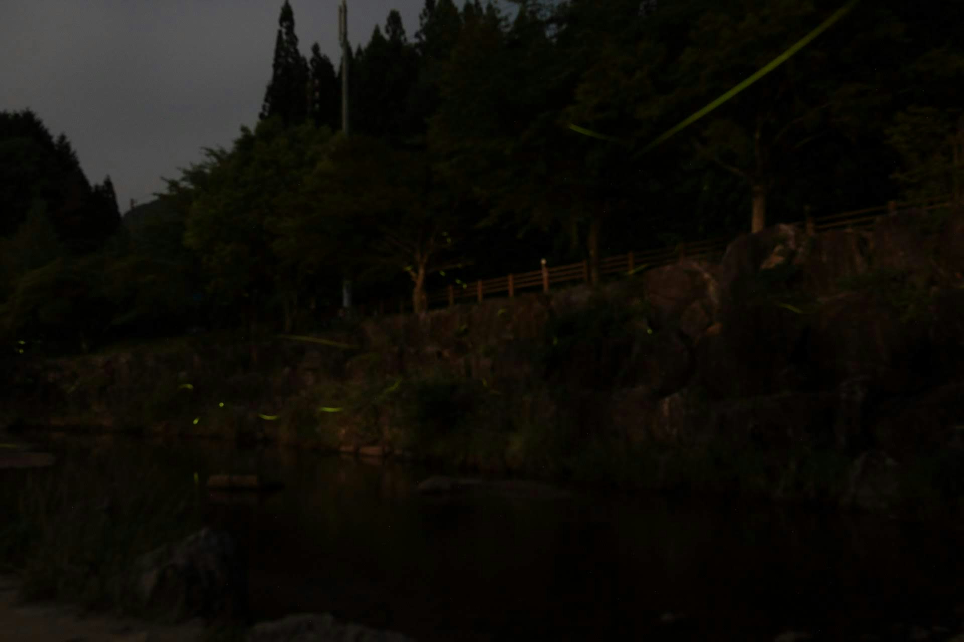 Una scena di riva oscura con alberi e rocce