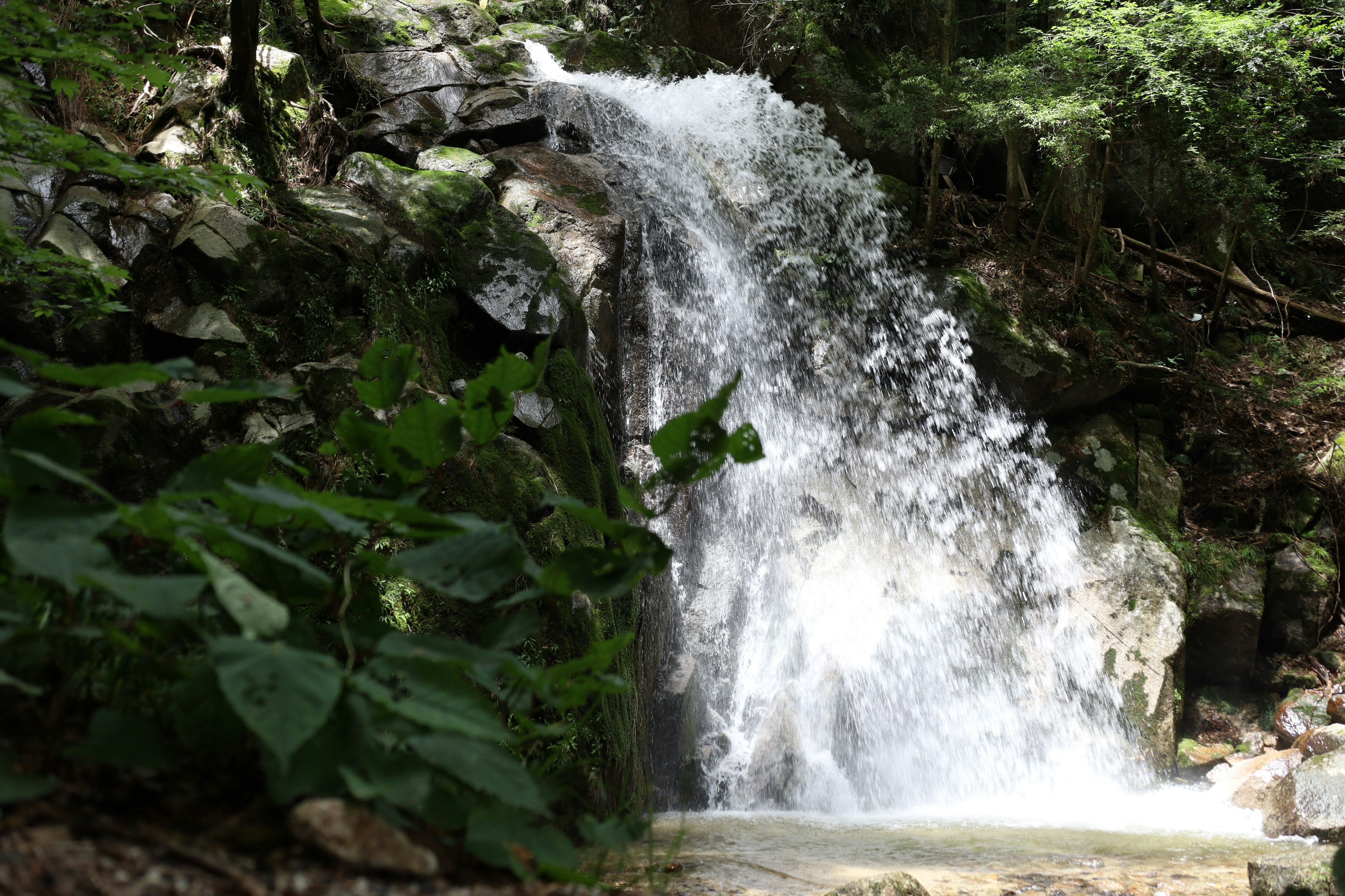 Una bellissima cascata circondata da vegetazione con acqua che scorre e rocce impressionanti