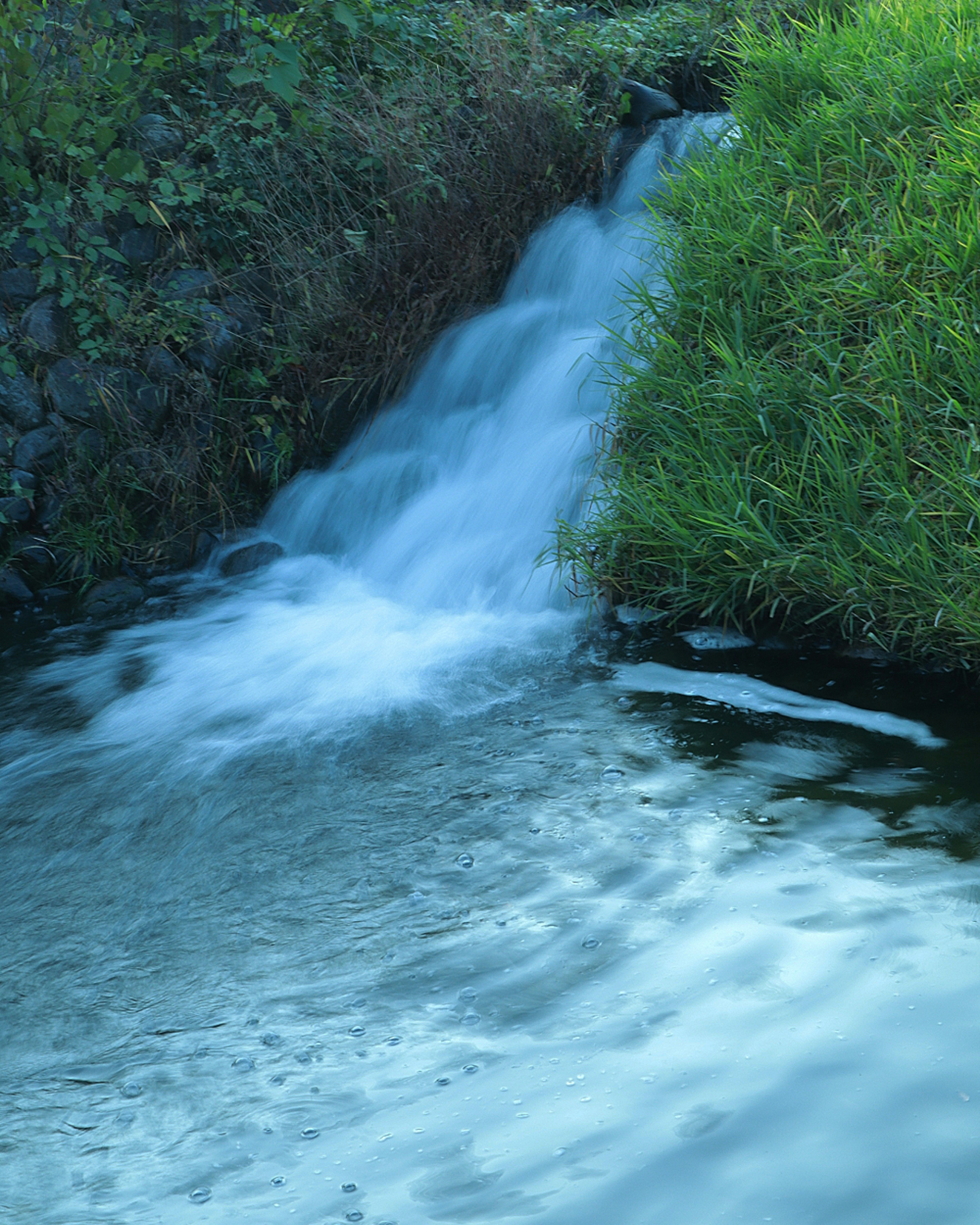 A serene stream with flowing blue water and lush green grass on the banks