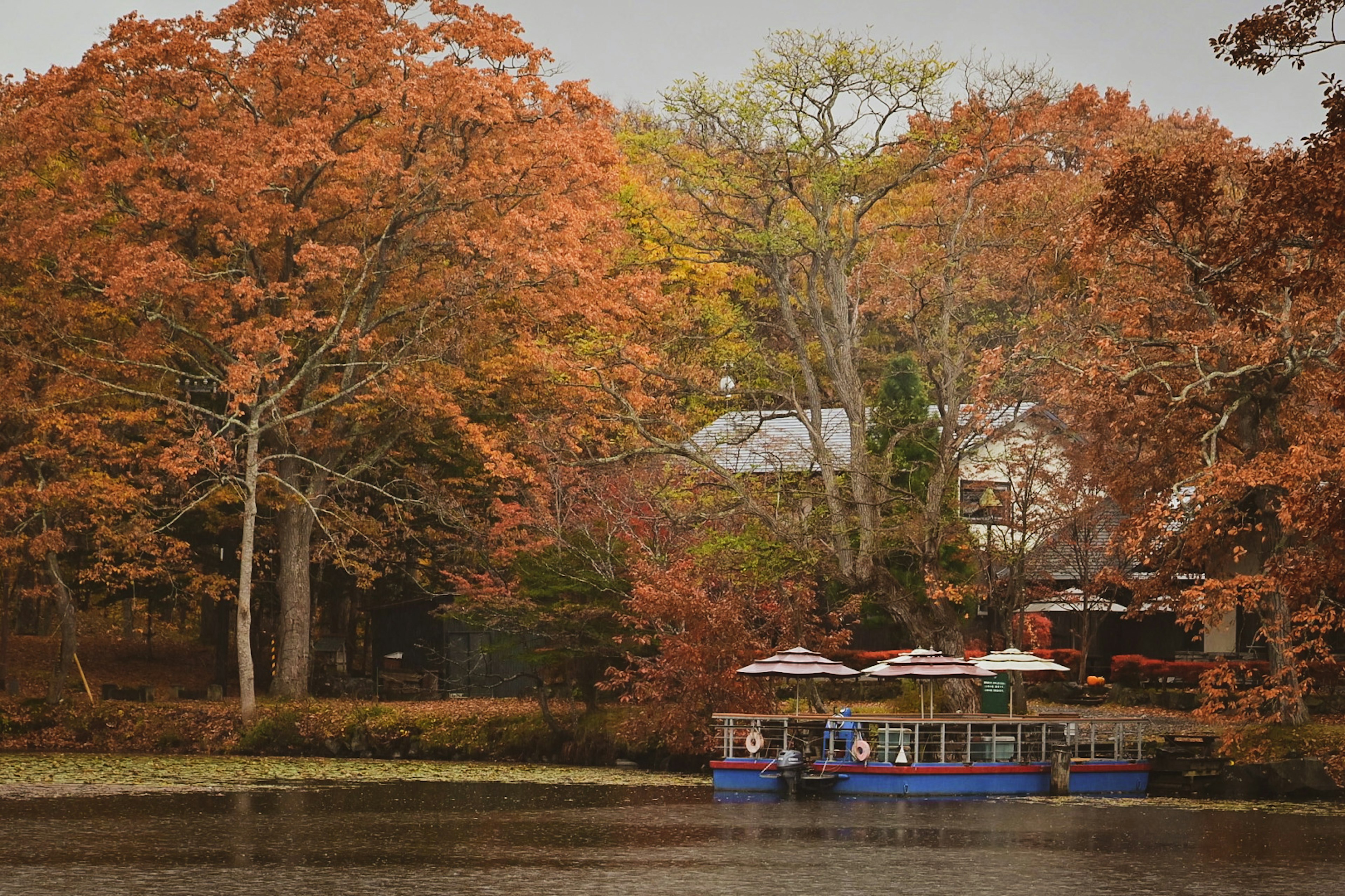 秋の紅葉が美しい湖の風景に浮かぶ船