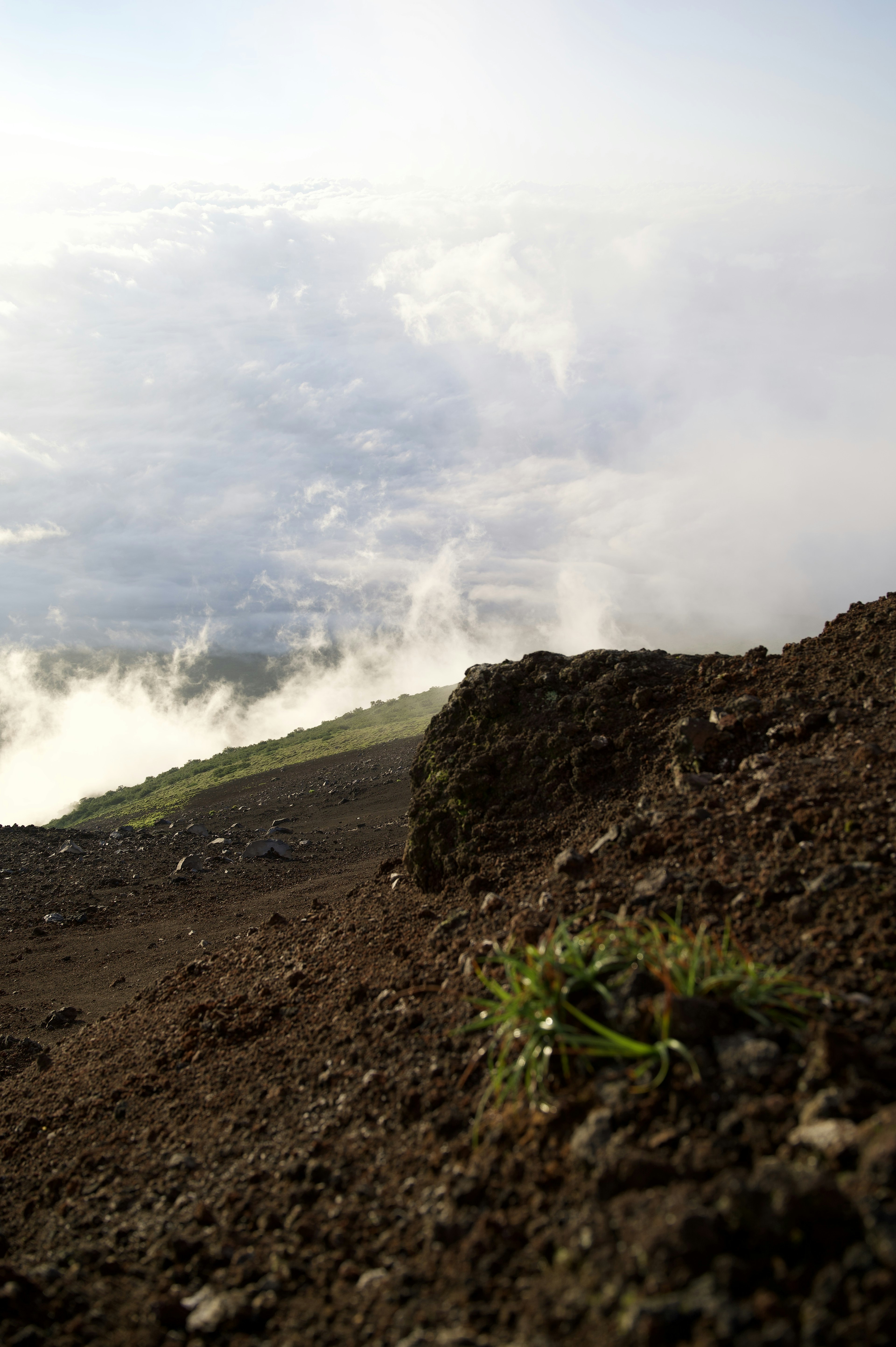 Primer plano de hierba verde y roca en una pendiente montañosa con un mar de nubes de fondo