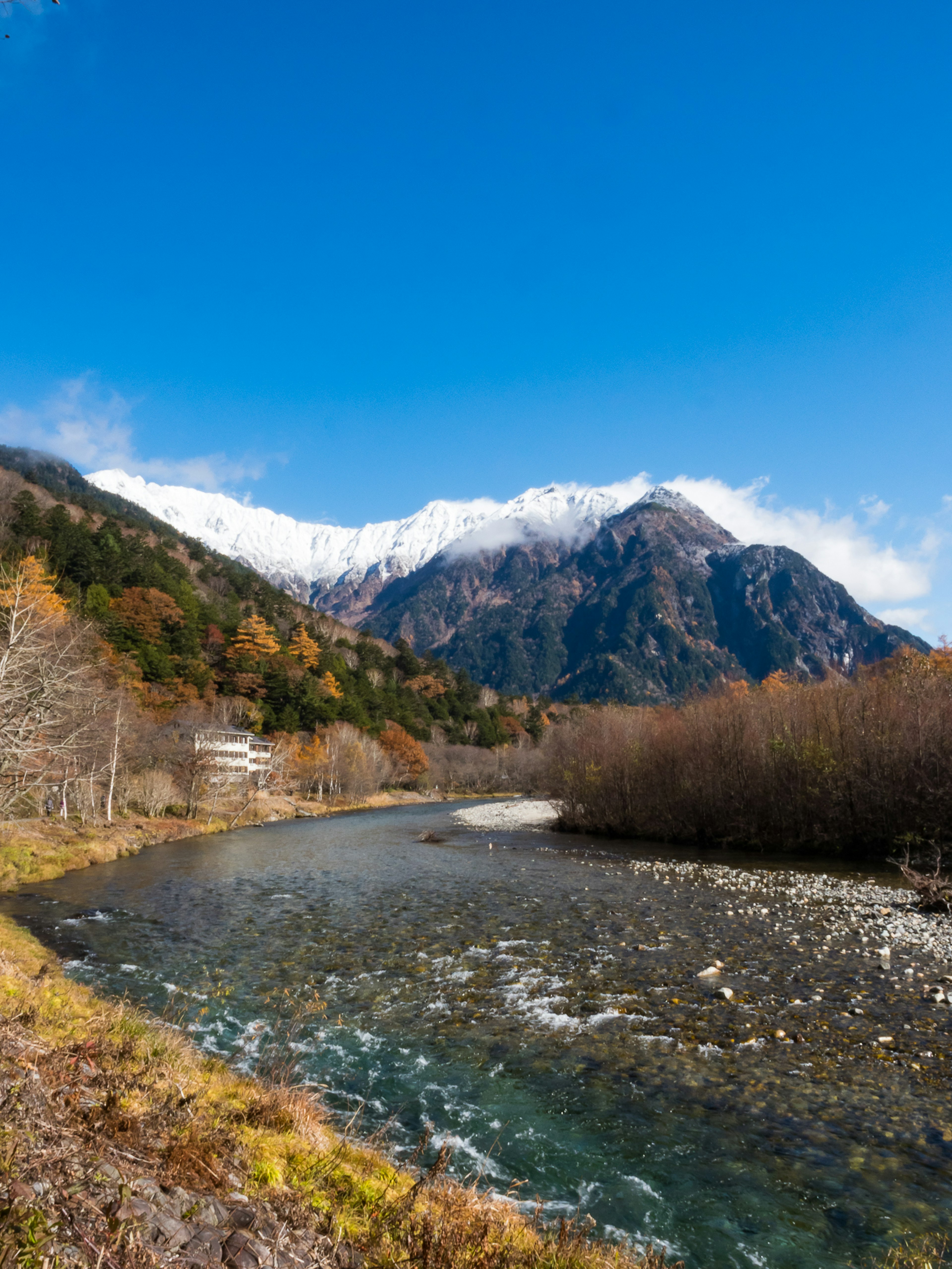 山脉和流动河流的风景 清澈的蓝天和雪山 河岸上五彩缤纷的树木