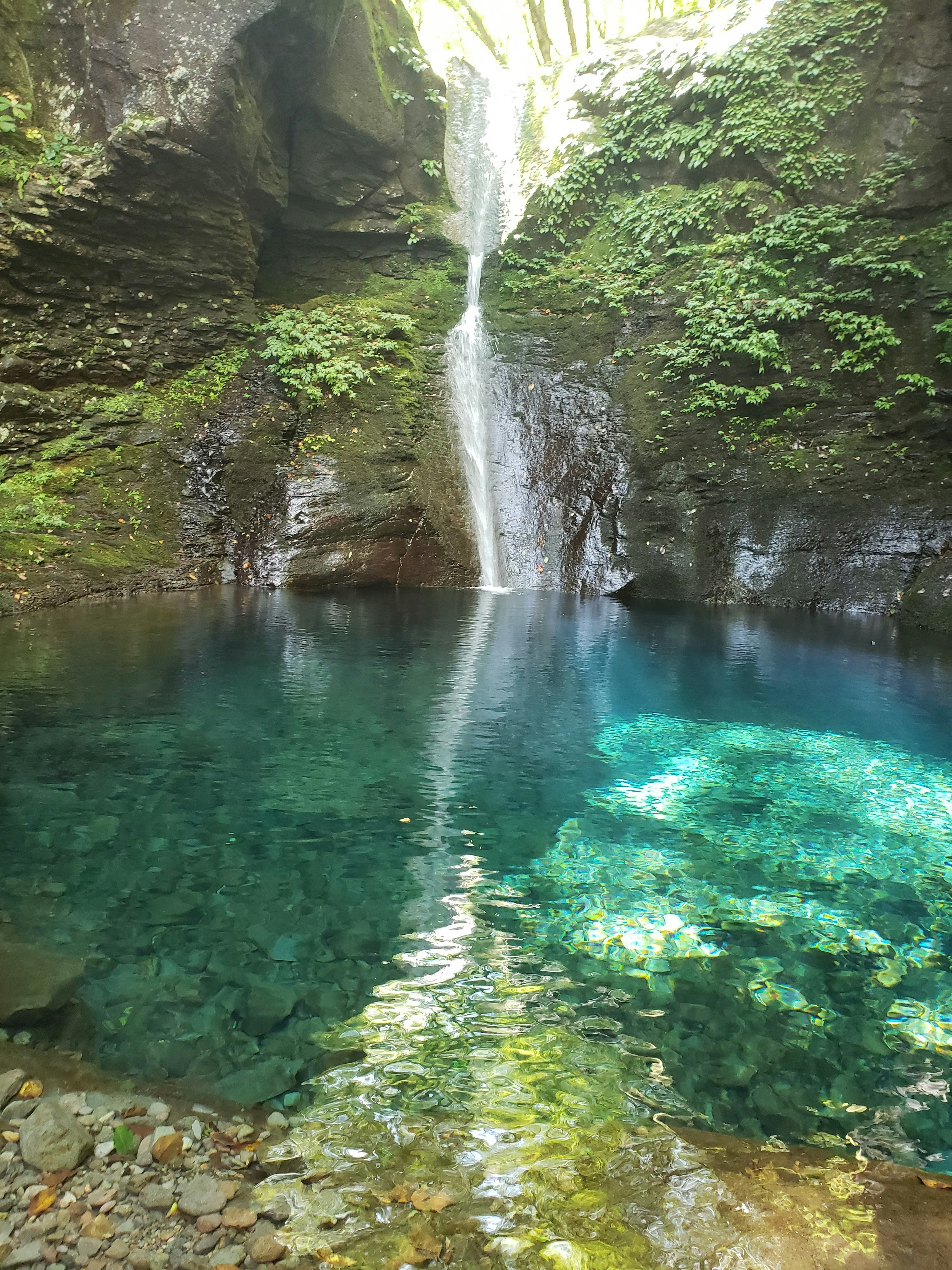 Chute d'eau se déversant dans une piscine turquoise claire entourée de verdure luxuriante