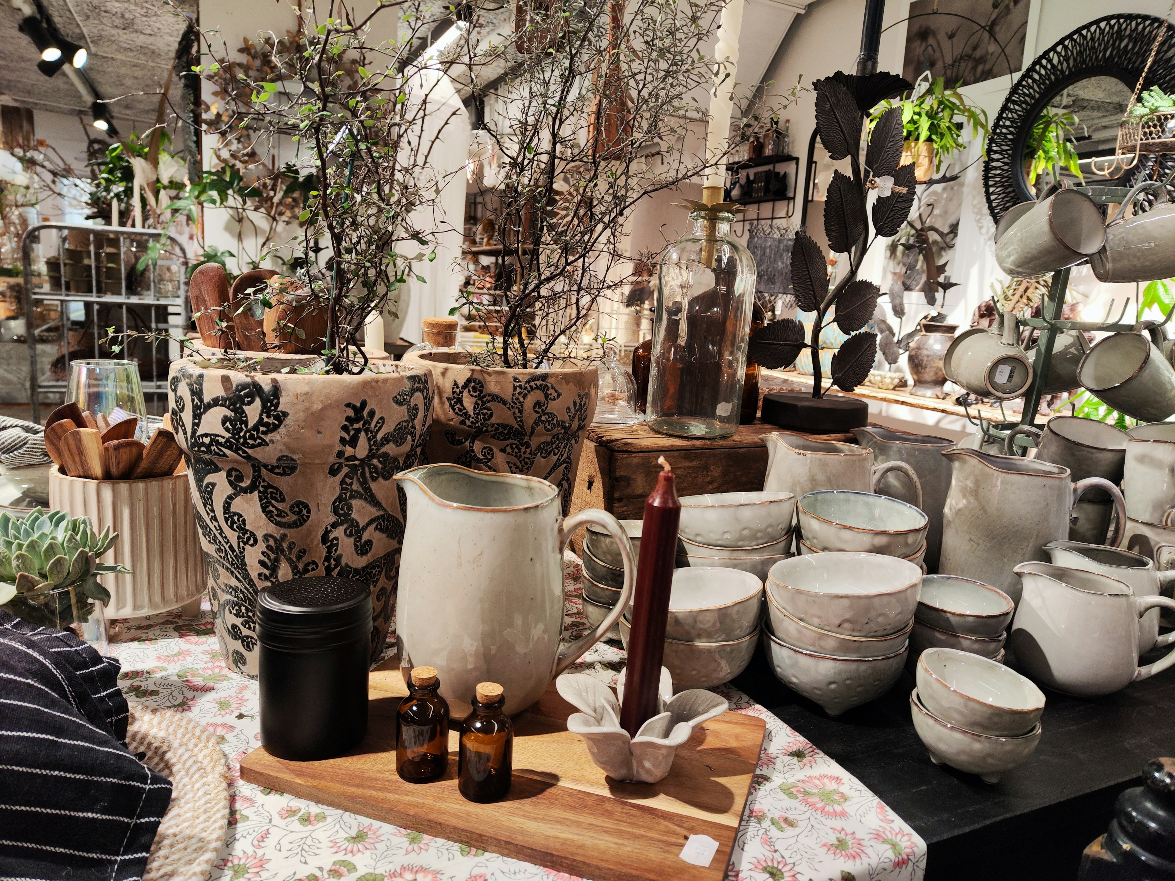 Exhibición estética de cerámica y plantas en una tienda de decoración del hogar