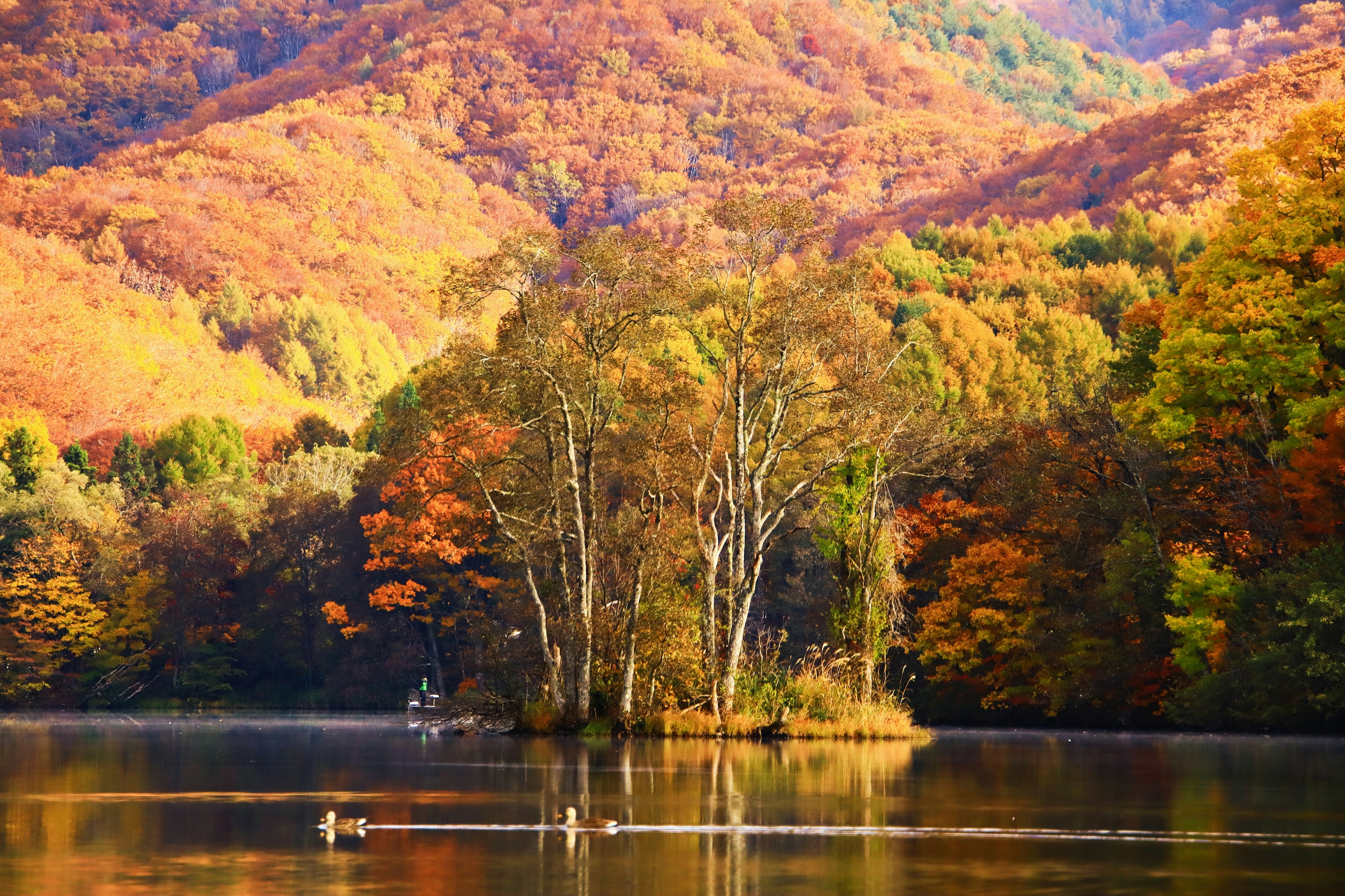 充滿活力的秋季風景，山脈和寧靜的湖泊