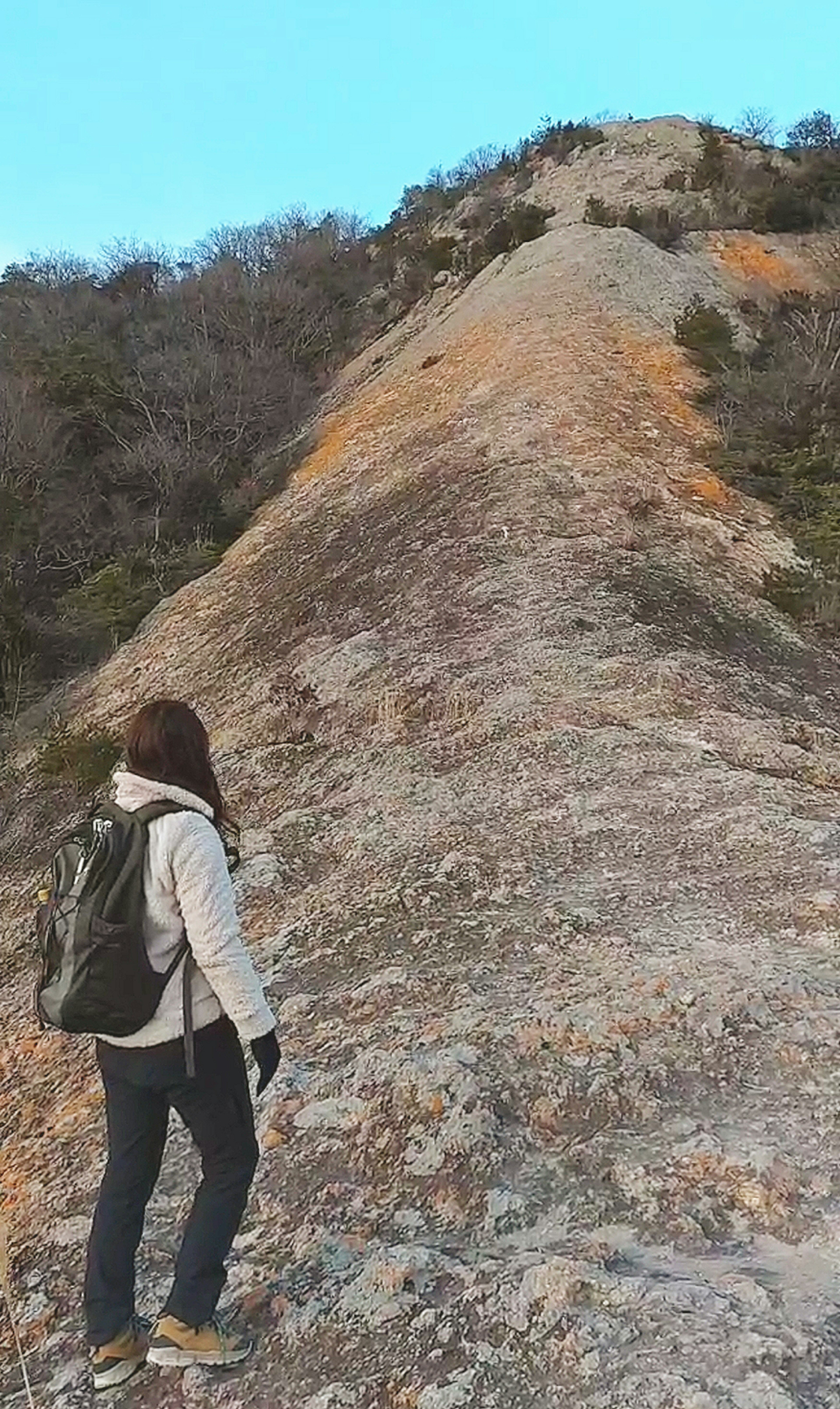 A woman walking on a rocky trail with a backpack surrounded by trees