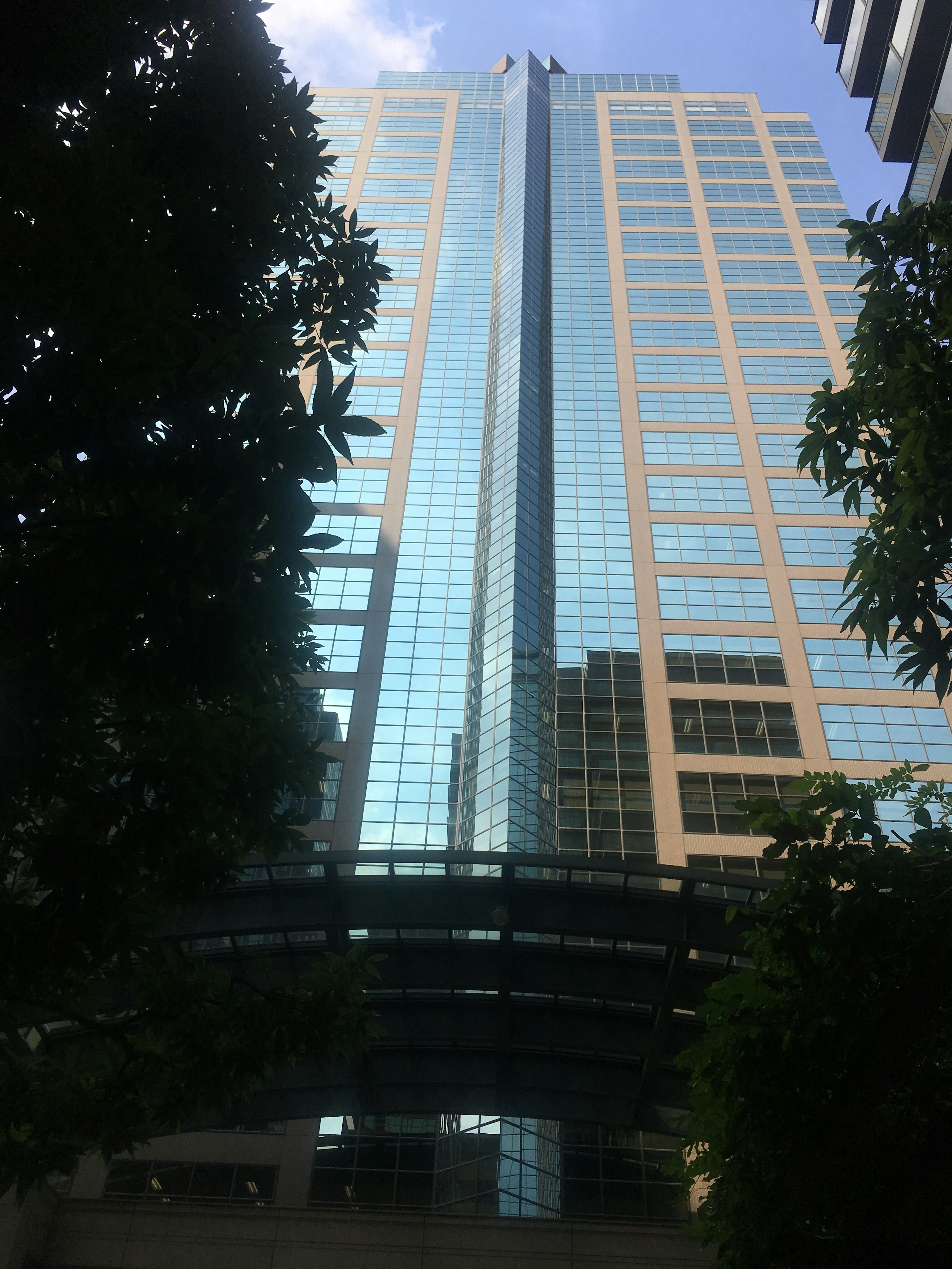 Stadtansicht mit einem hohen Glasgebäude, das Licht reflektiert, und Grün im Vordergrund