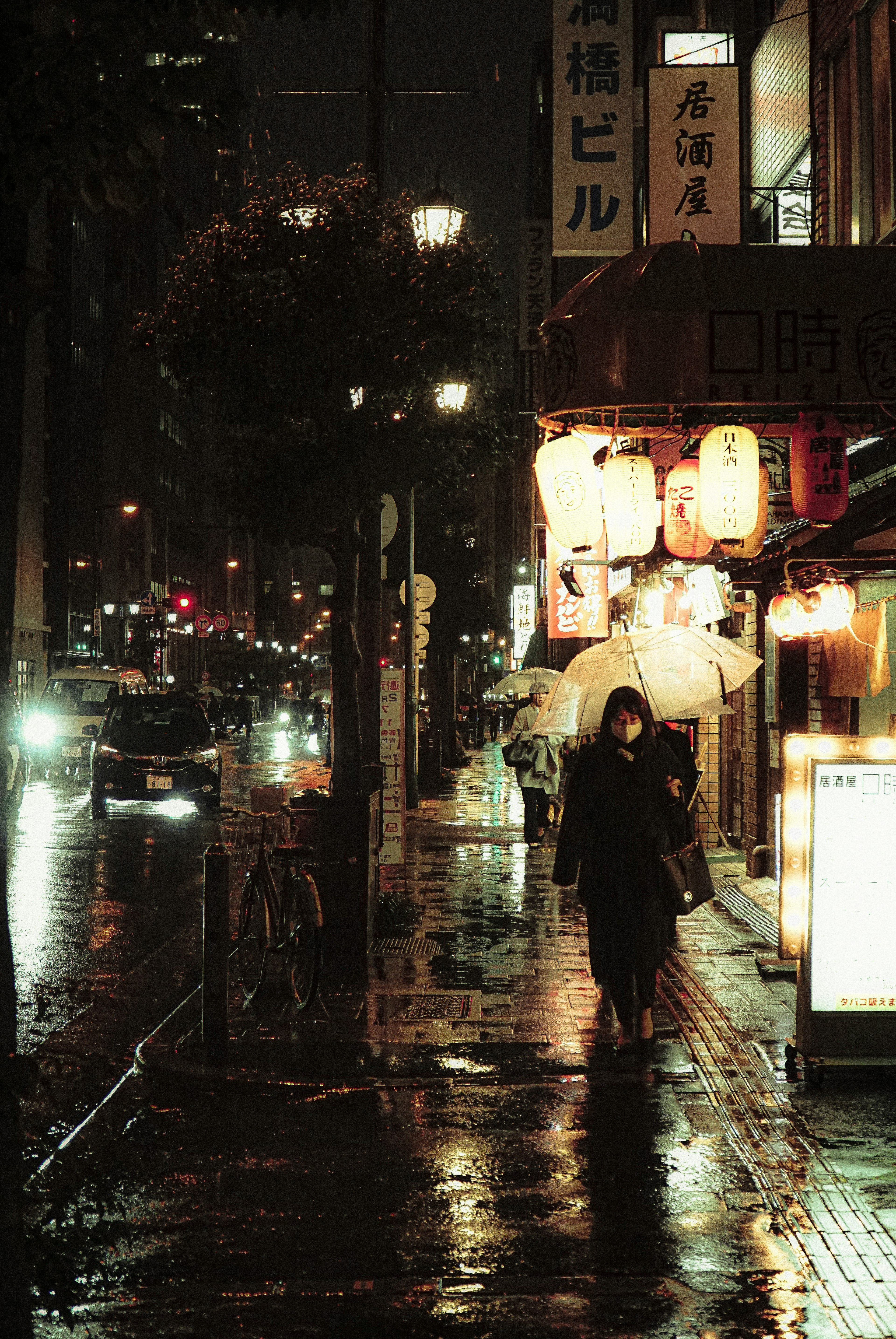 A person walking with an umbrella in a rainy night street scene