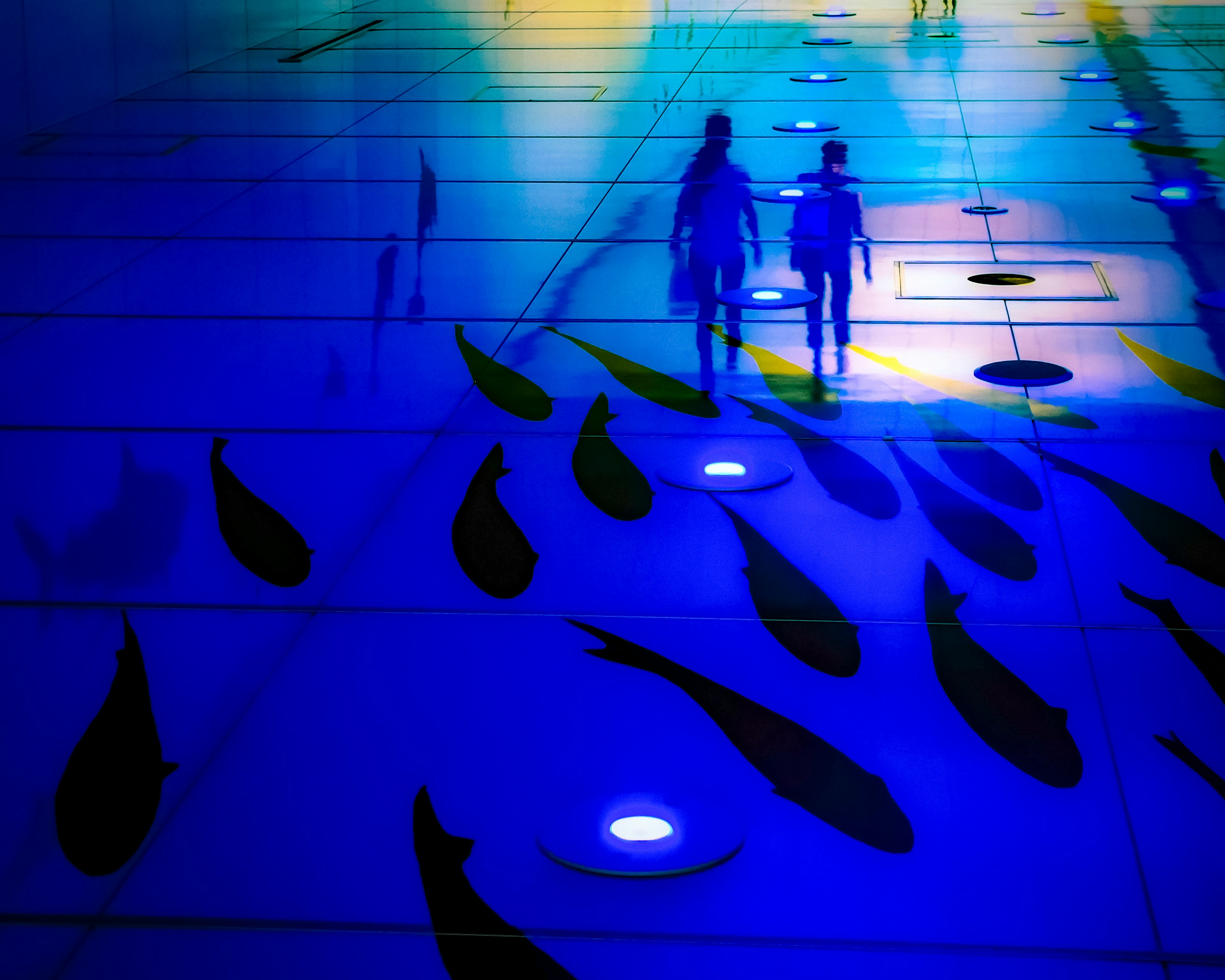 Deux silhouettes marchant sur une surface bleue illuminée avec des motifs de poissons