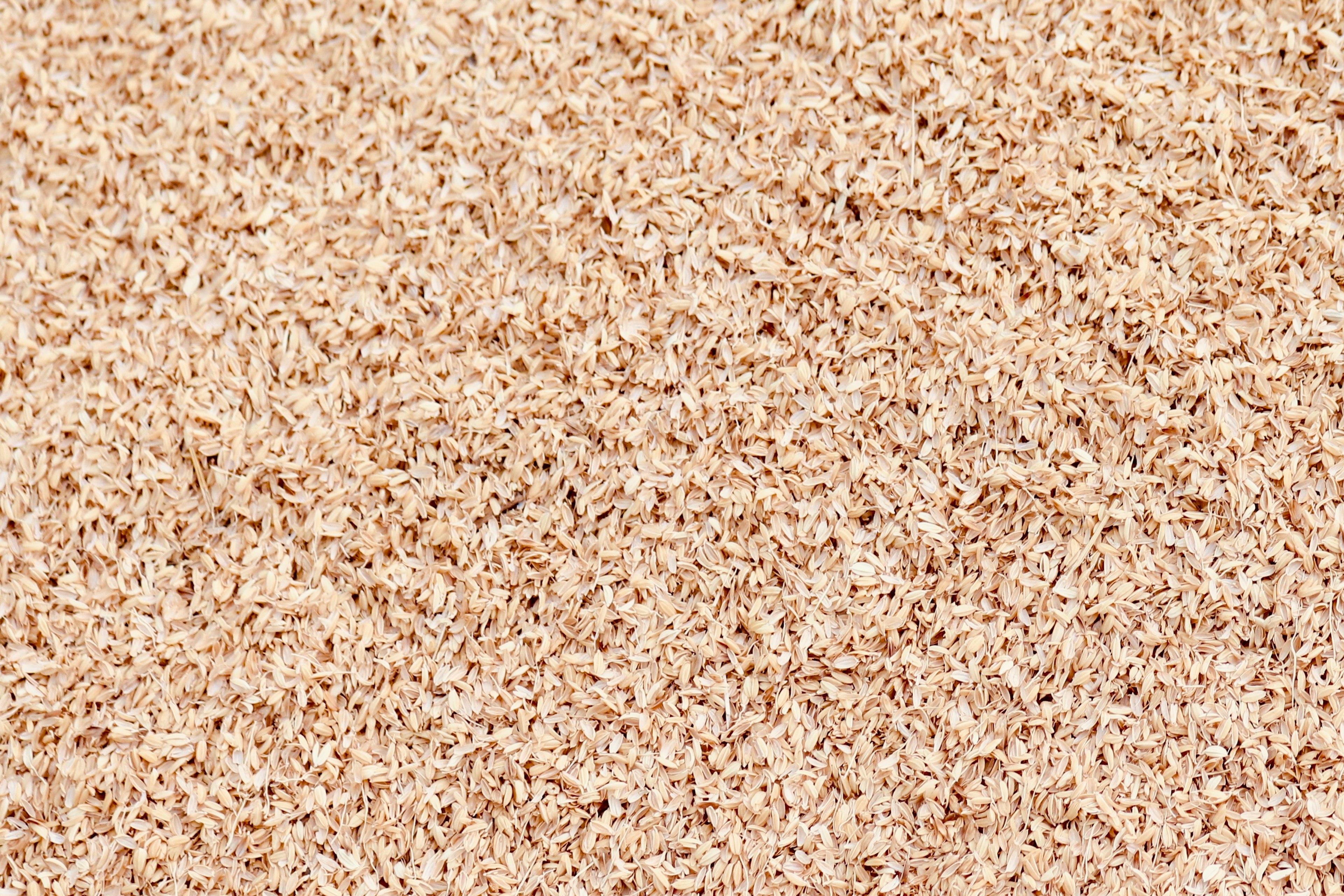 Close-up of fine sandy texture