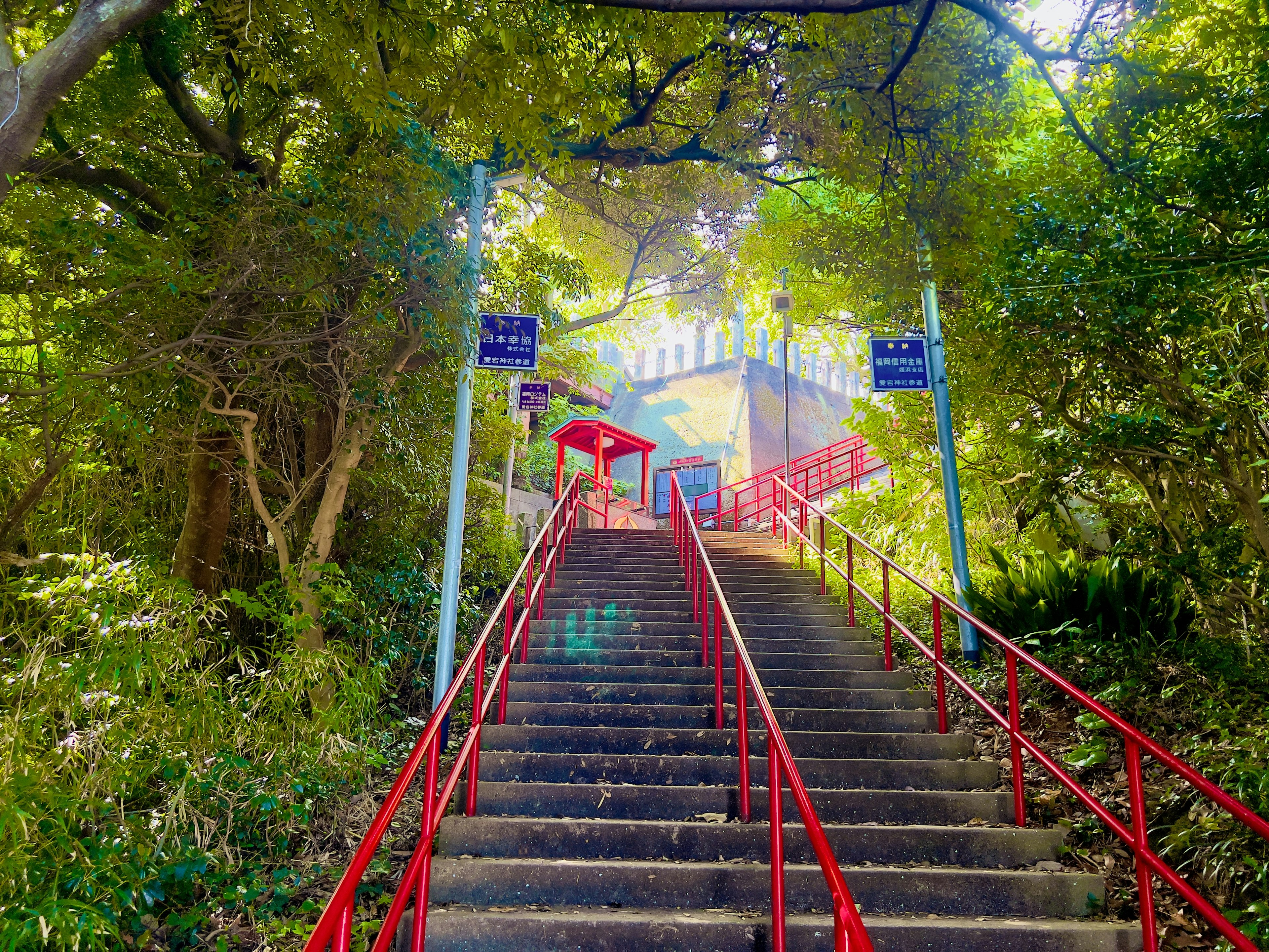 Escalera rodeada de vegetación exuberante con barandillas rojas