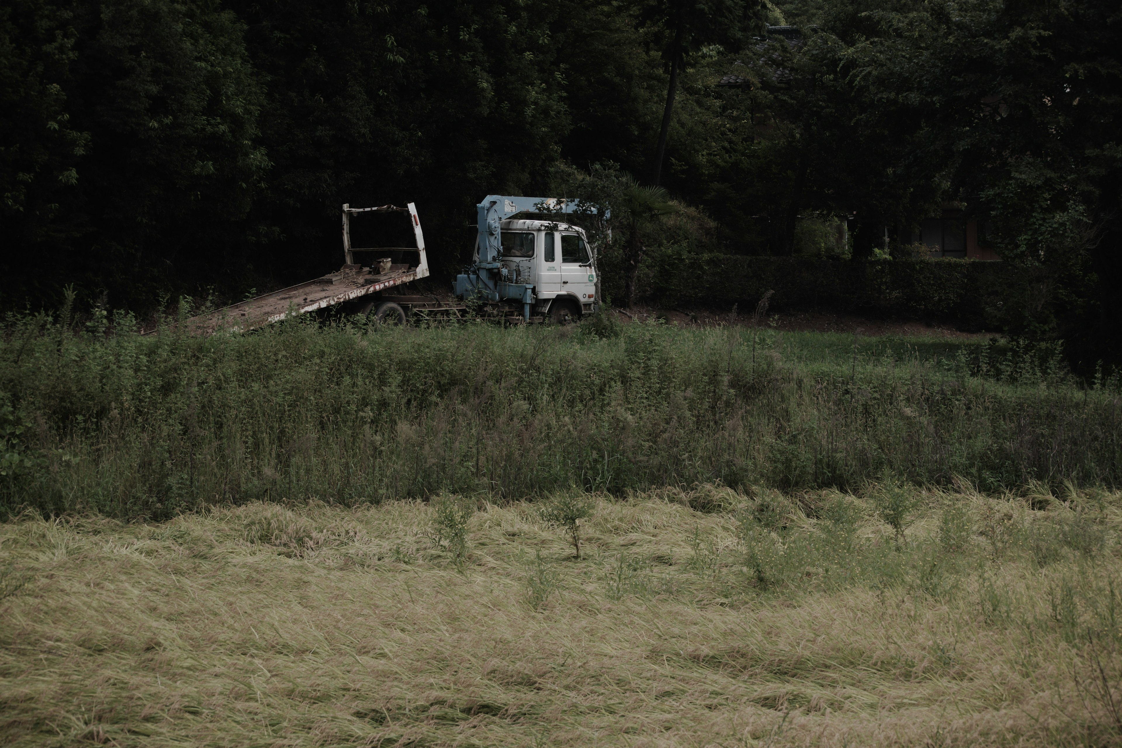 Un camión azul en un área de hierba con una rampa de madera detrás de él