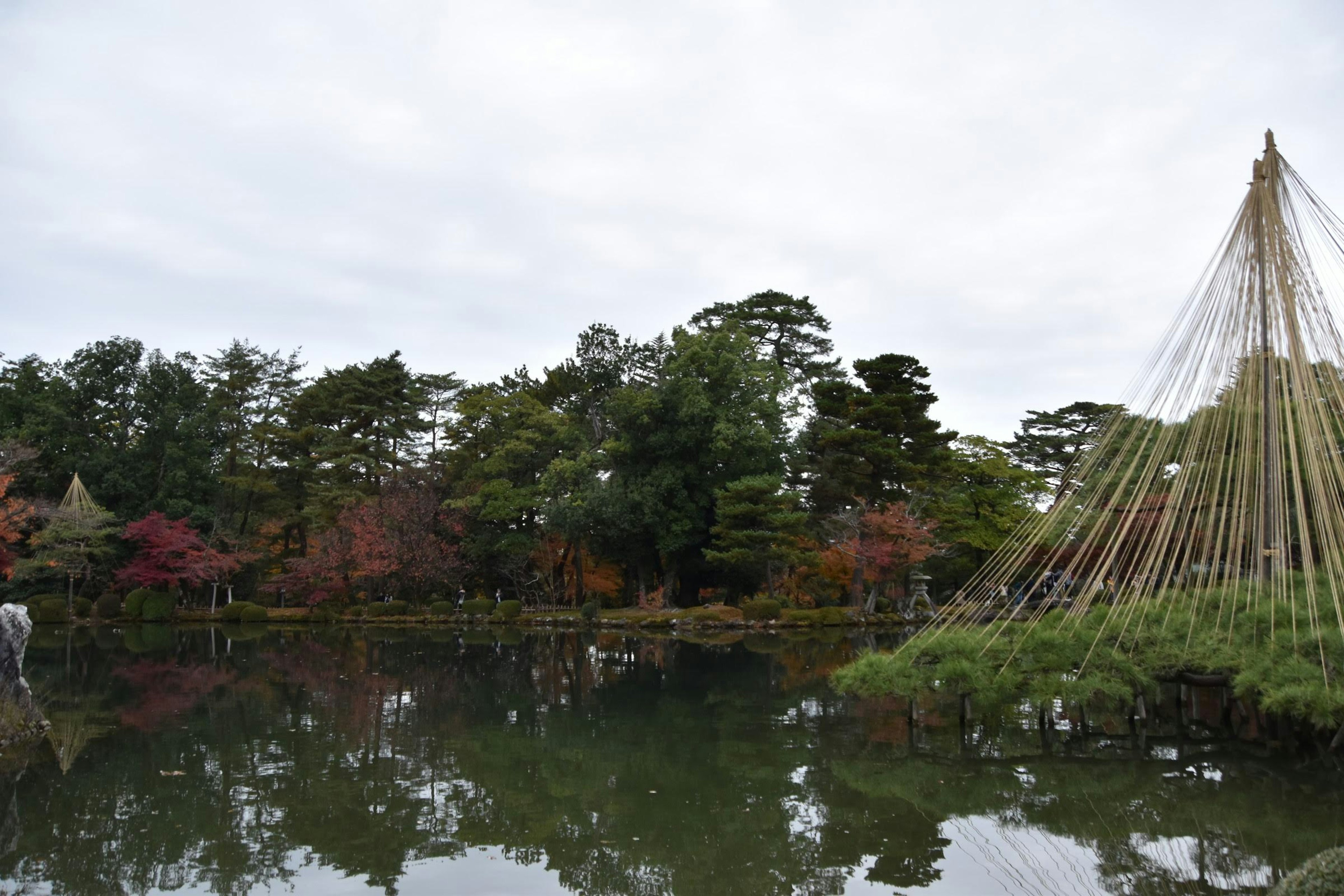 Bellissimo paesaggio autunnale circondato da uno stagno e alberi