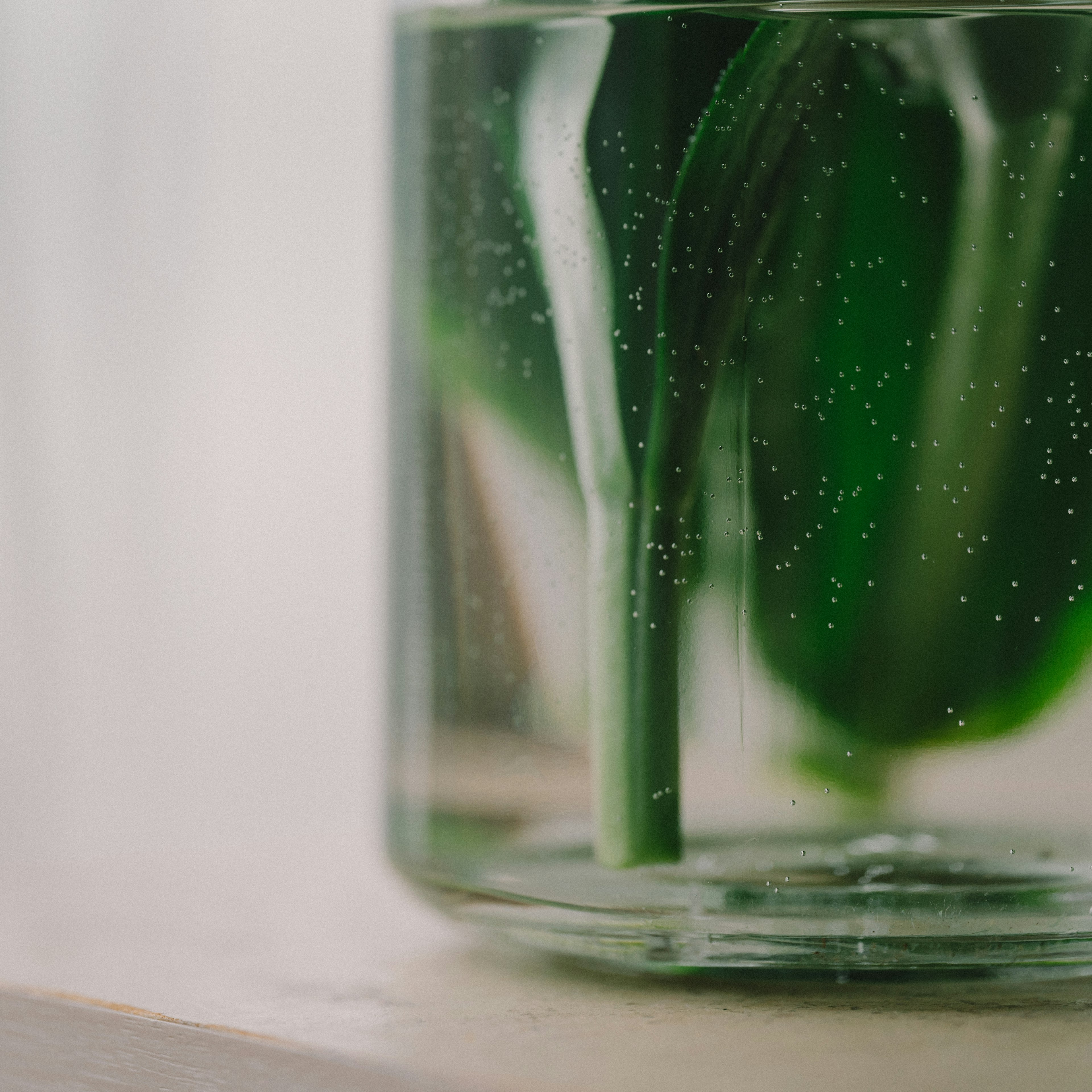 Transparent container with green leaves and bubbles inside