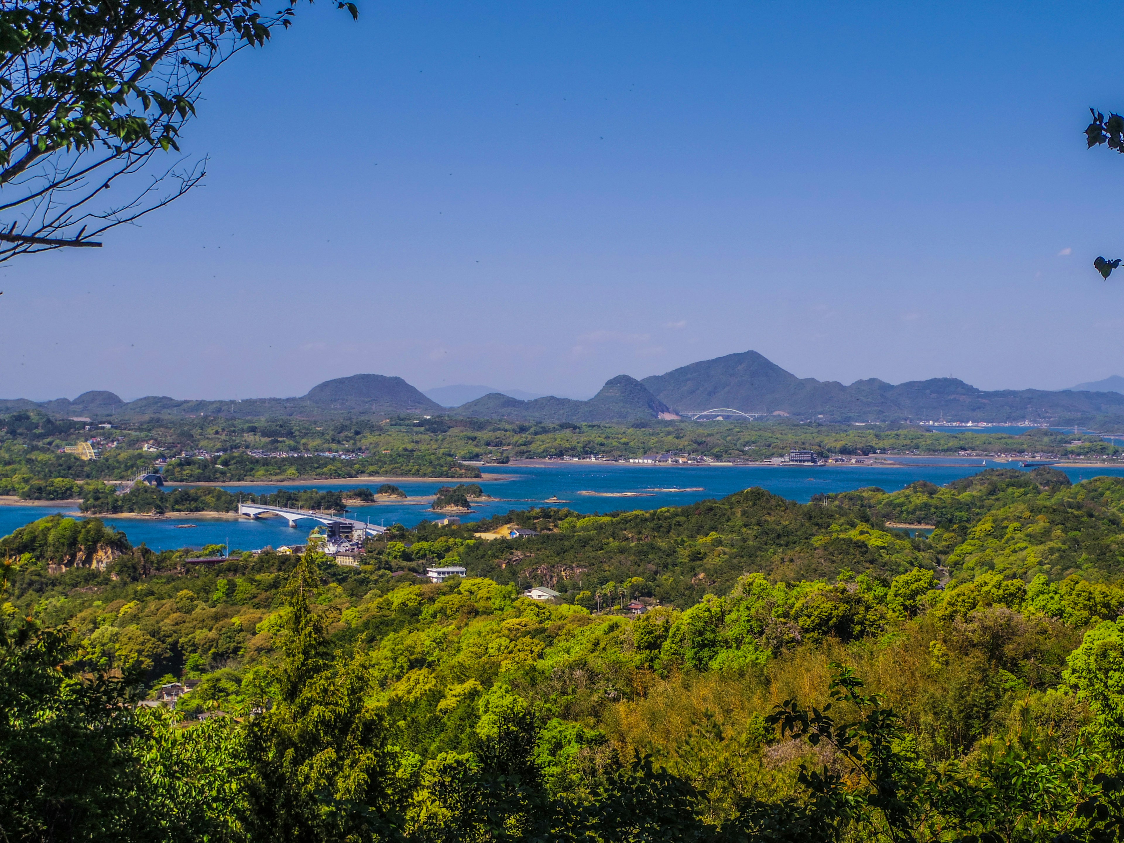 Scenic view of lush green hills and blue ocean under clear sky