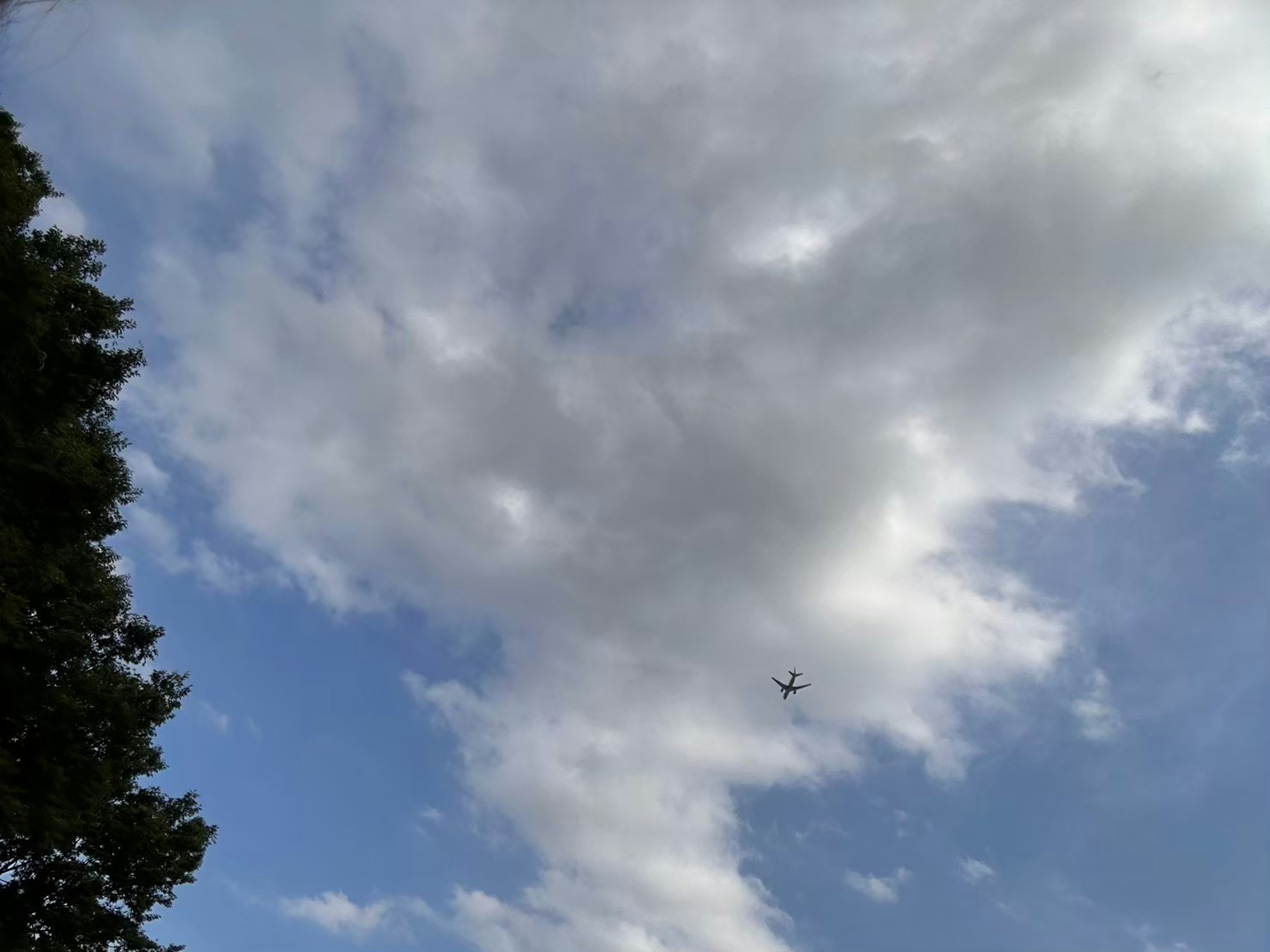 青空に浮かぶ雲と飛行機のシルエット