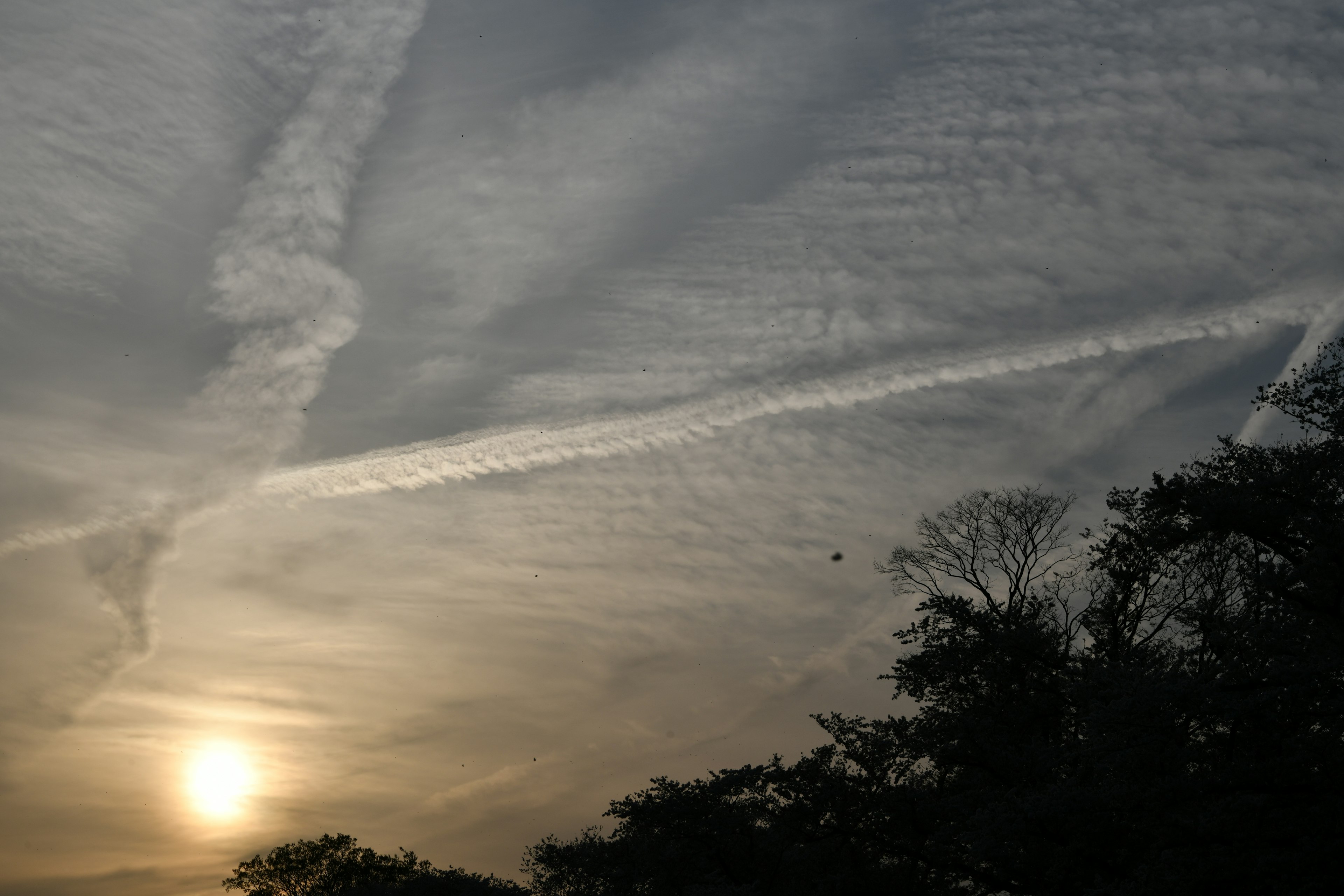 Sunset sky with clouds and airplane contrails