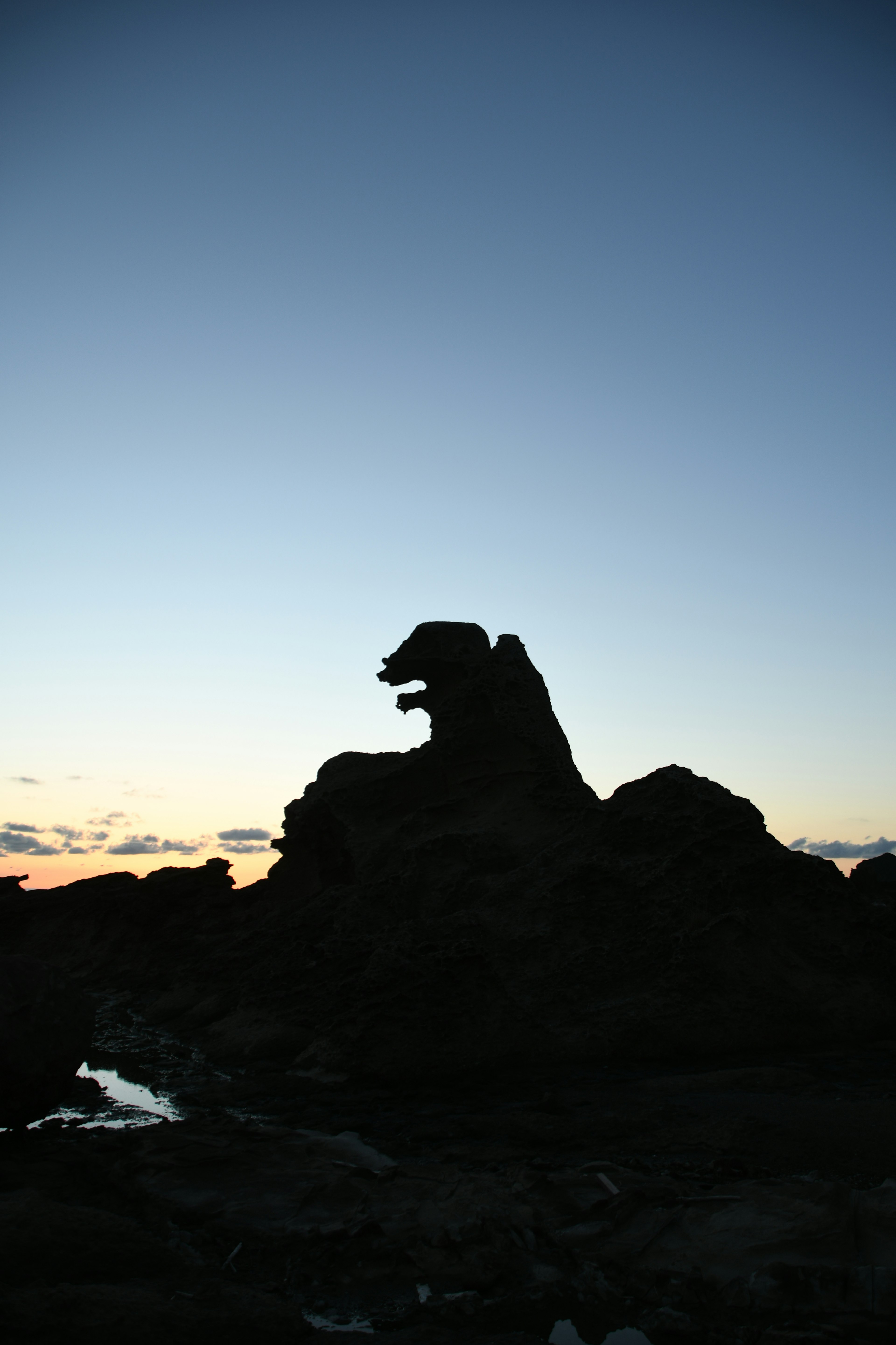 Silhouette of a rock resembling a lion's head at dusk