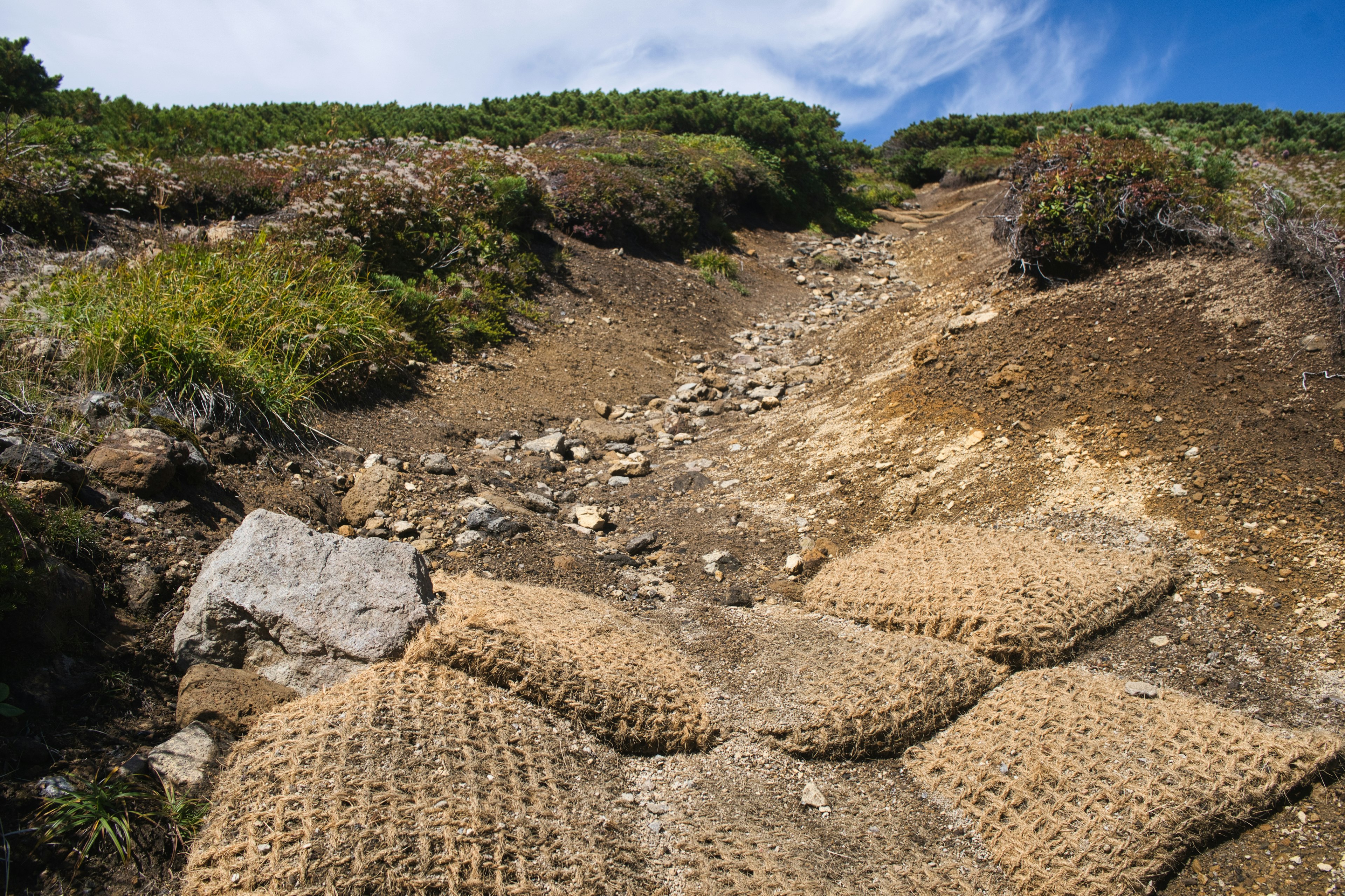 Sentiero escursionistico roccioso con tappeti di protezione del suolo e vegetazione