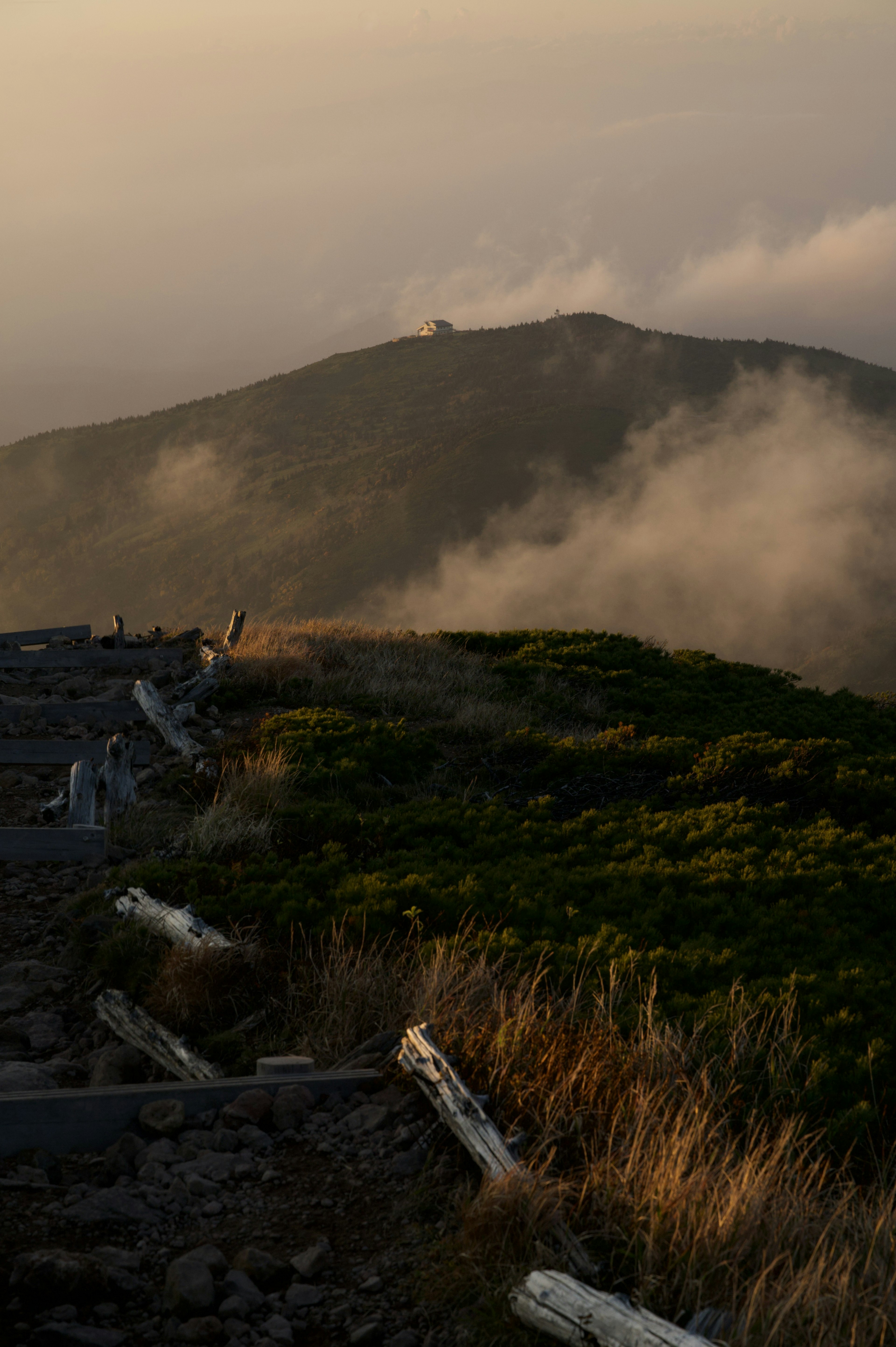 Mountain landscape shrouded in mist with grassy pathway