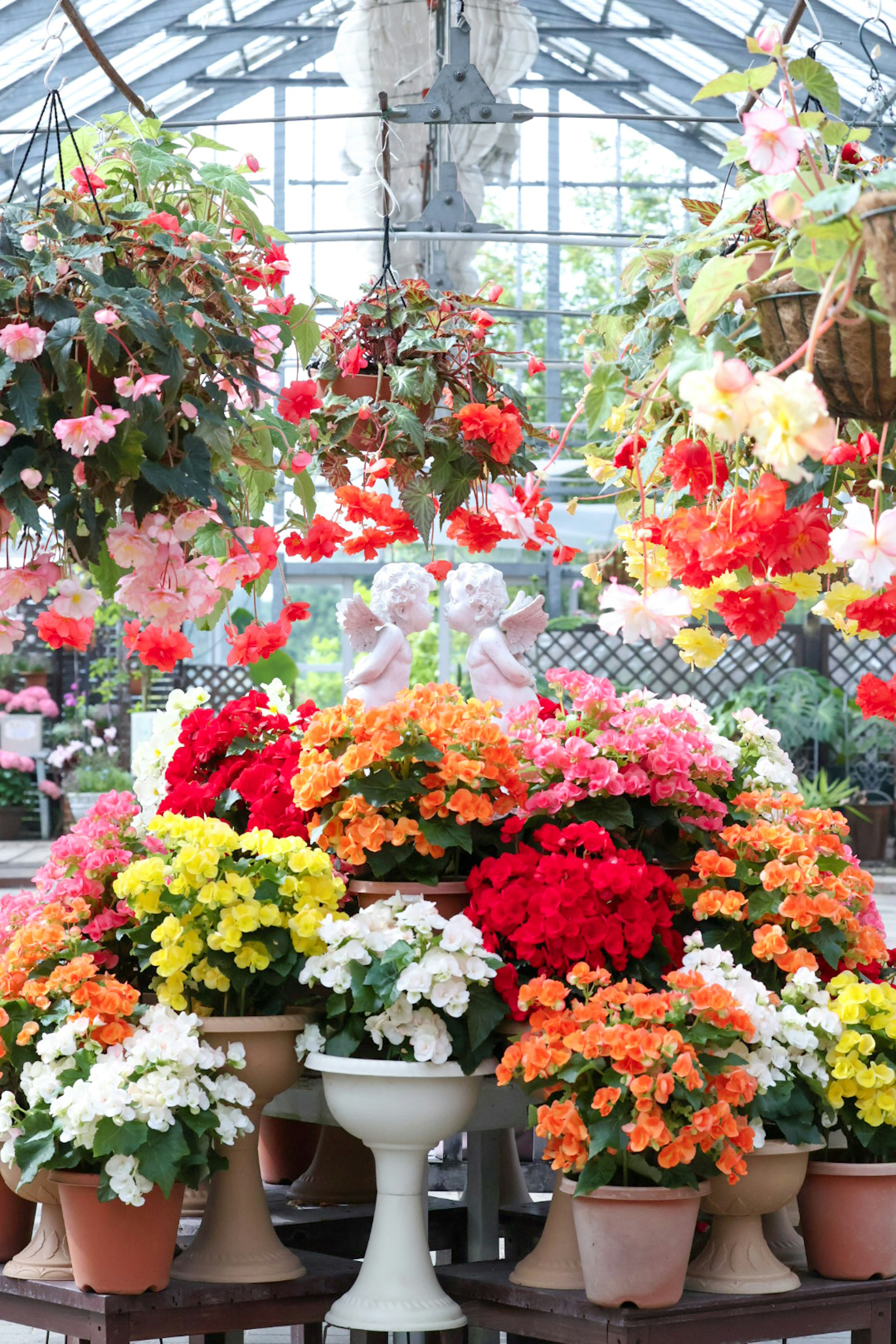 Une serre remplie de fleurs en pot colorées et de plantes suspendues