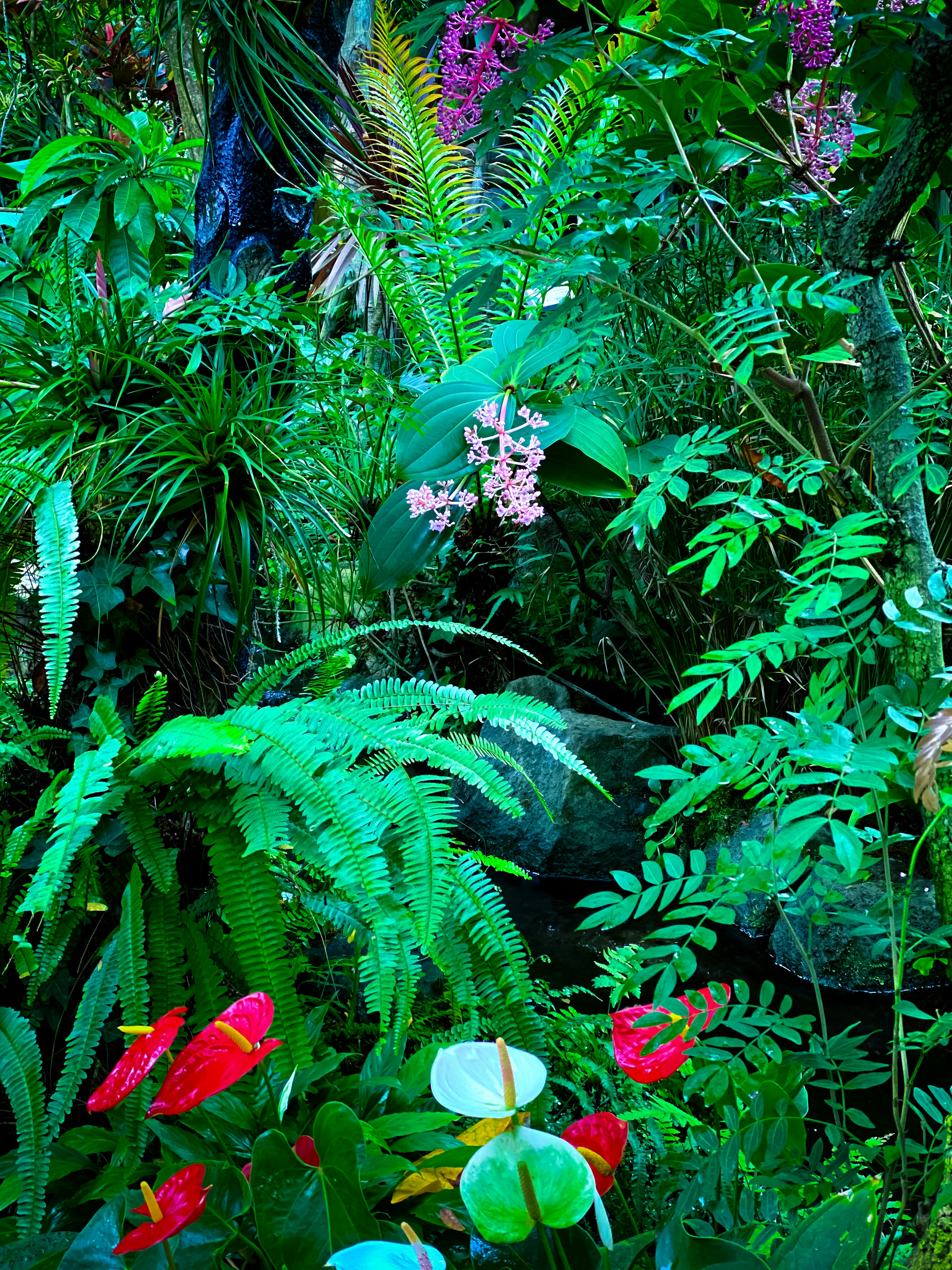 Plantas tropicales exuberantes con flores coloridas en un entorno verde vibrante