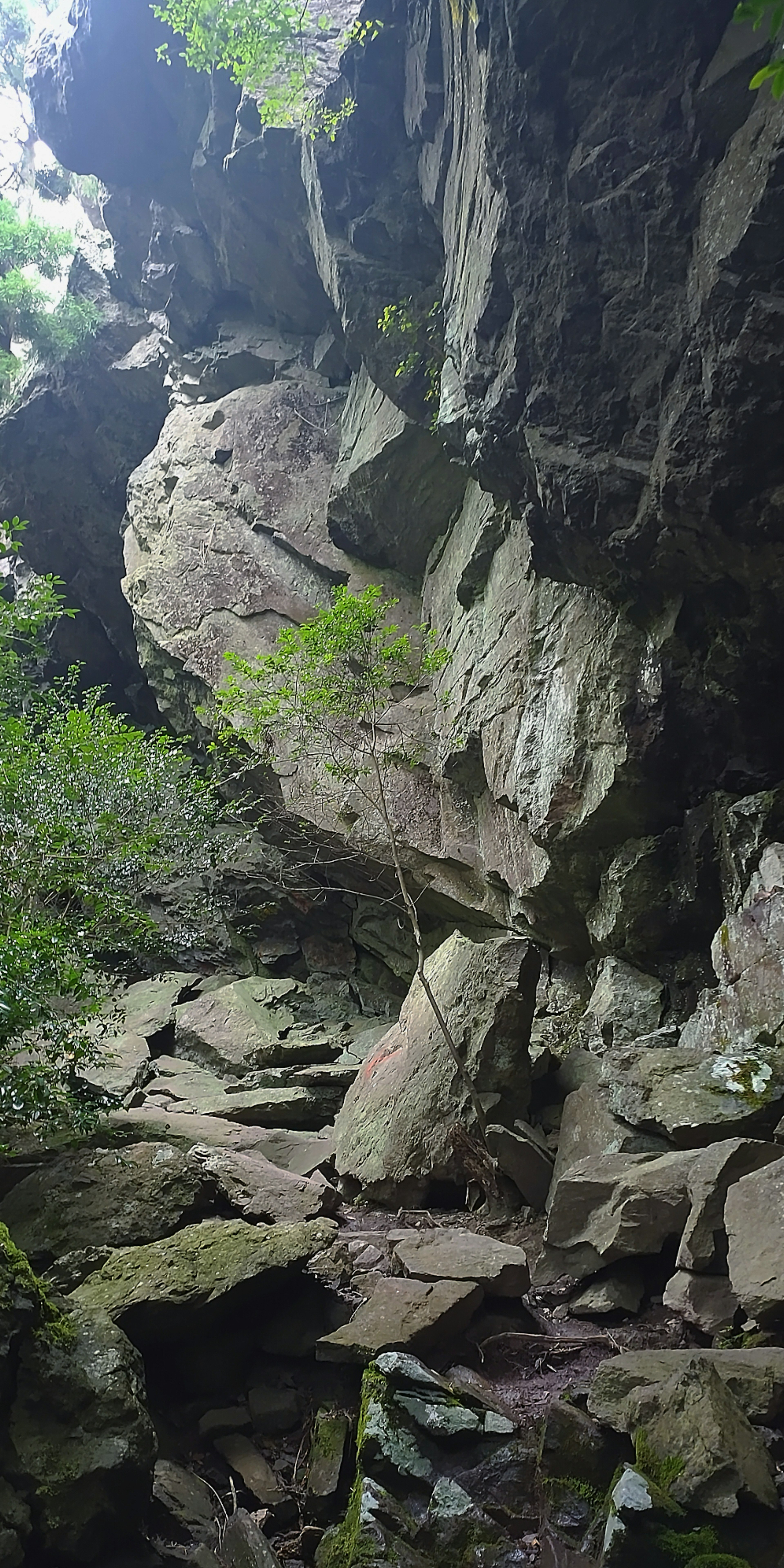 Schmaler natürlicher Tunnel umgeben von Felsen und grünen Pflanzen