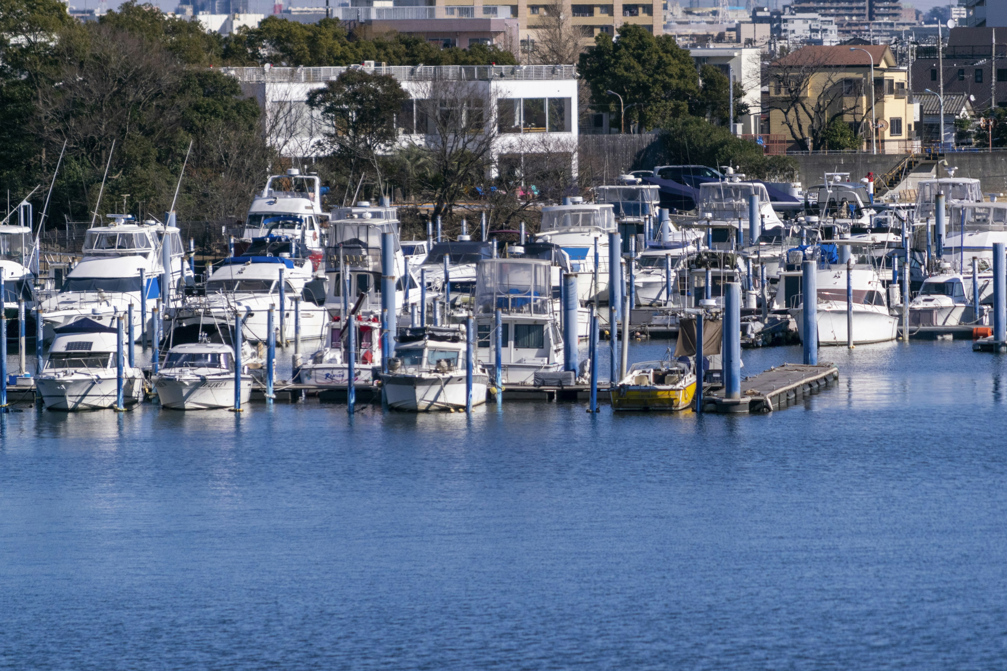 Numerous white boats and yachts docked in a quiet marina