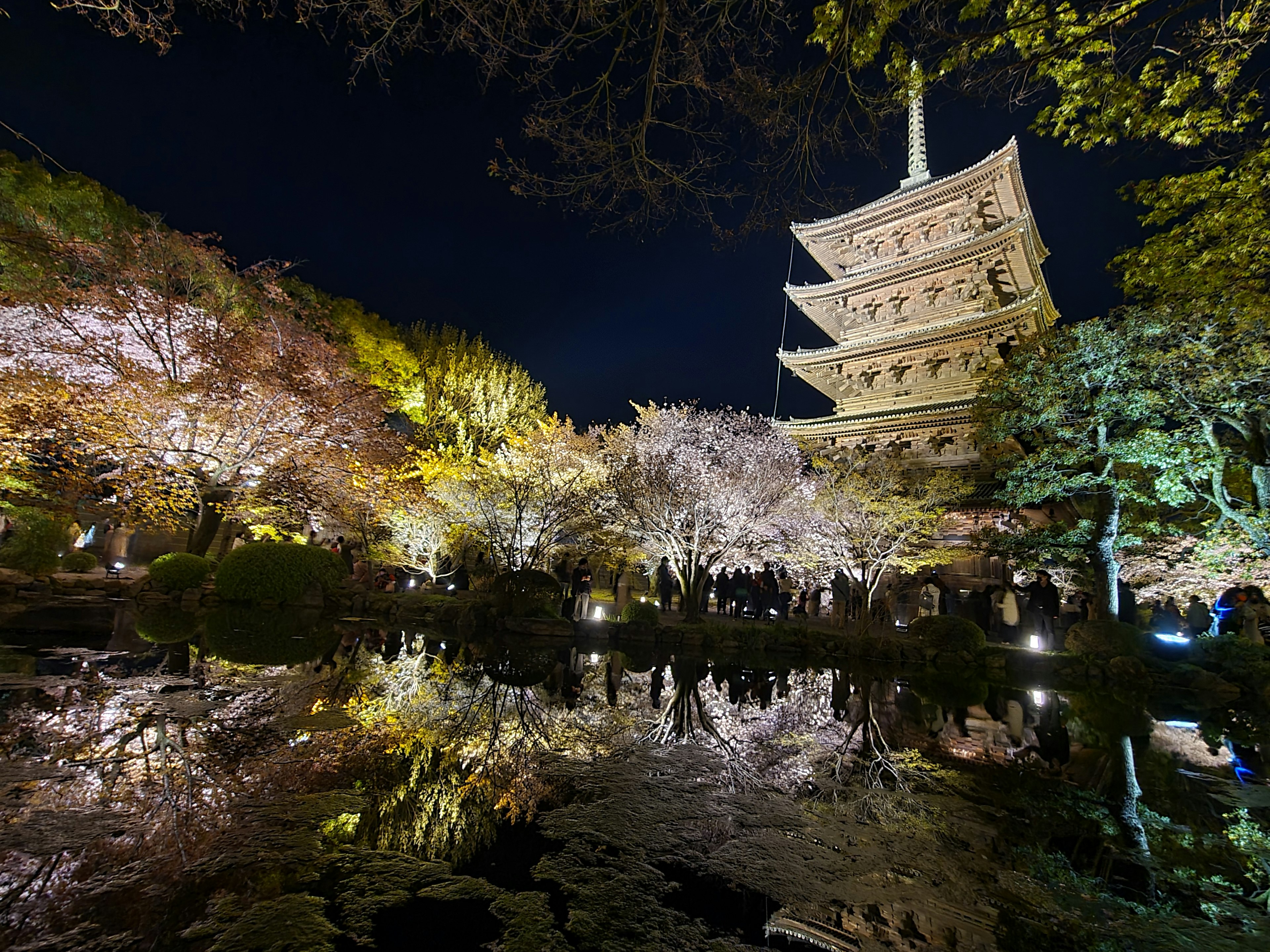 Beautiful night view of a Japanese garden with a pagoda