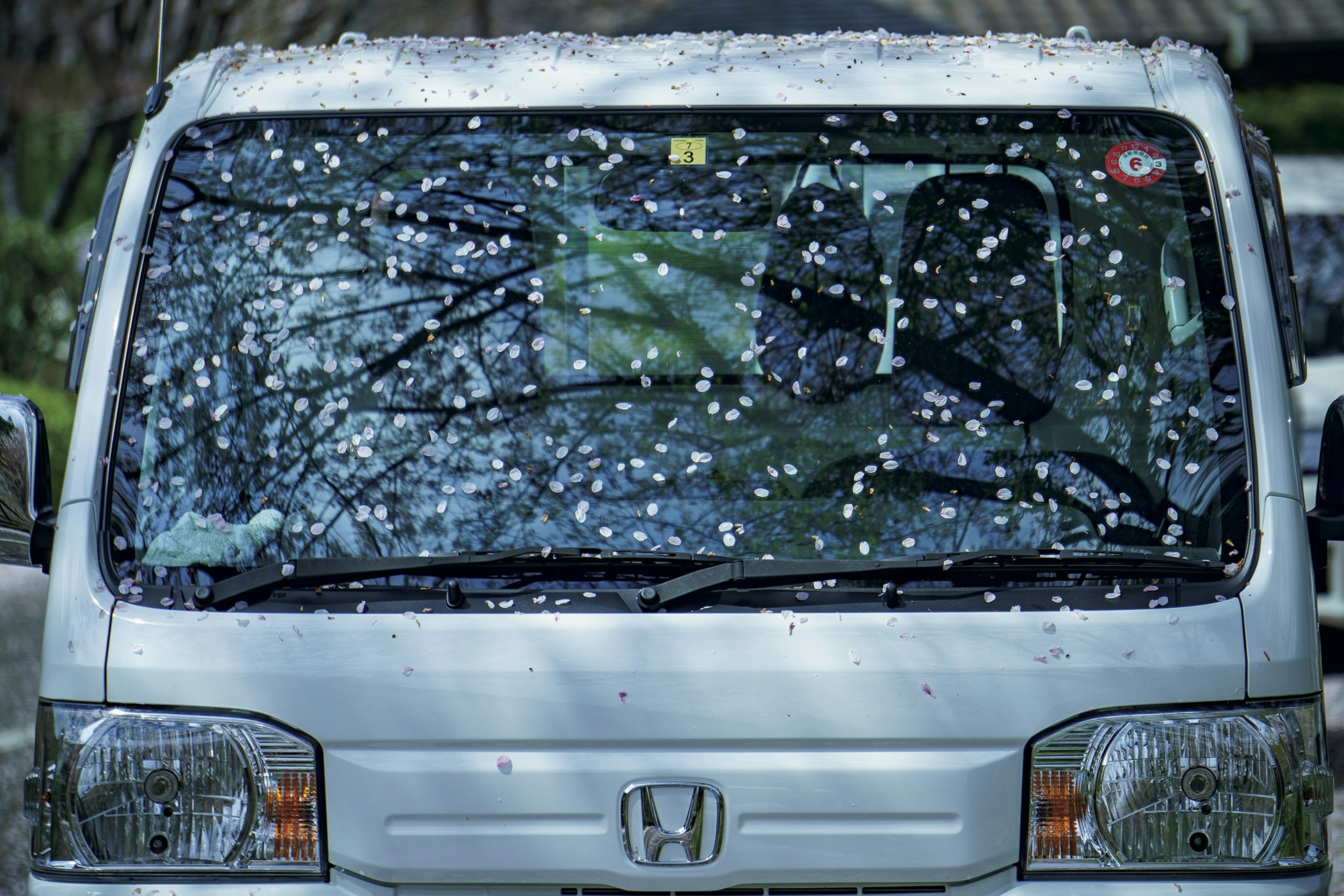 Furgoneta Honda con pétalos de flores de cerezo esparcidos sobre el parabrisas