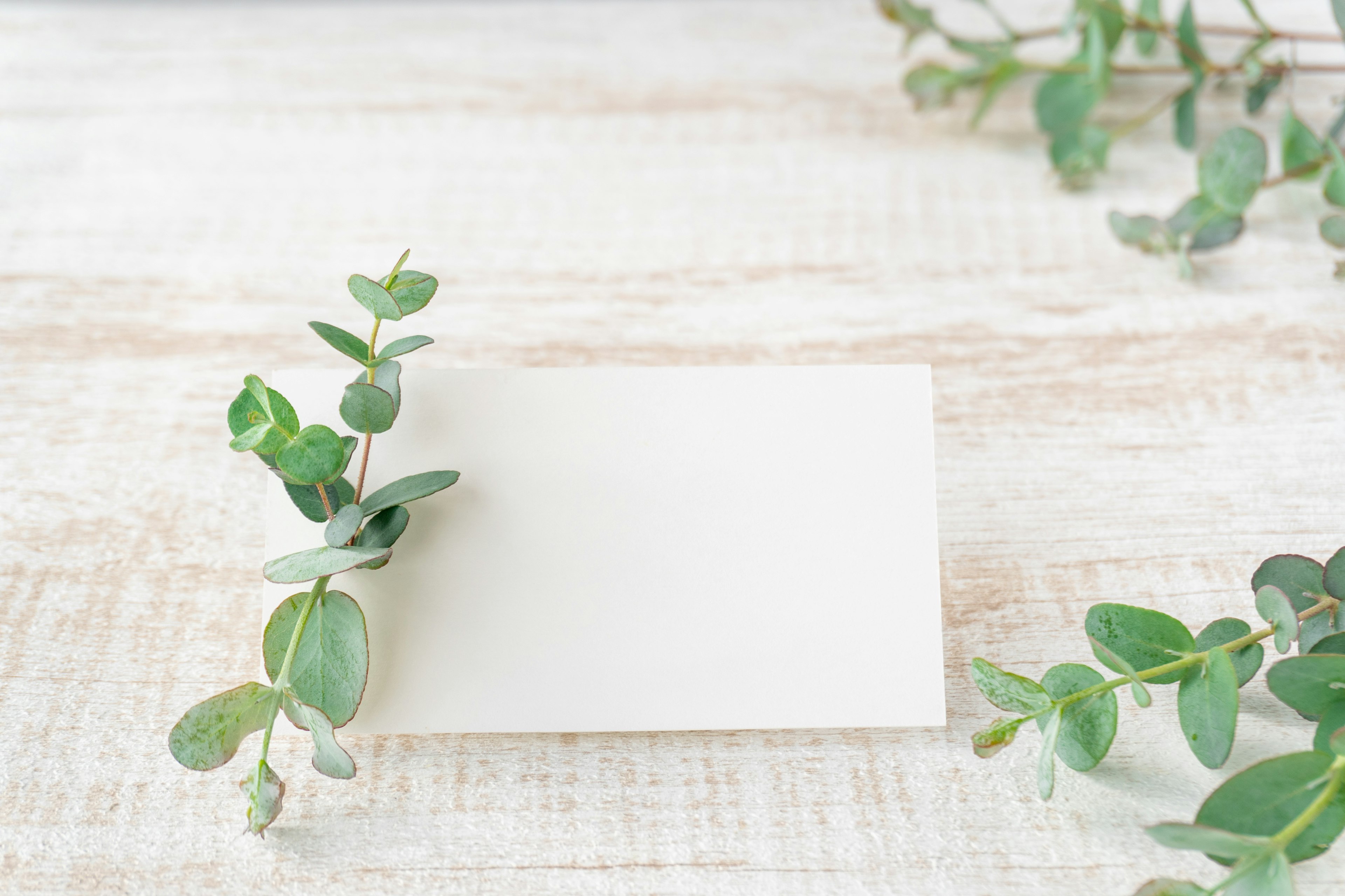 A blank card surrounded by green foliage on a rustic wooden surface