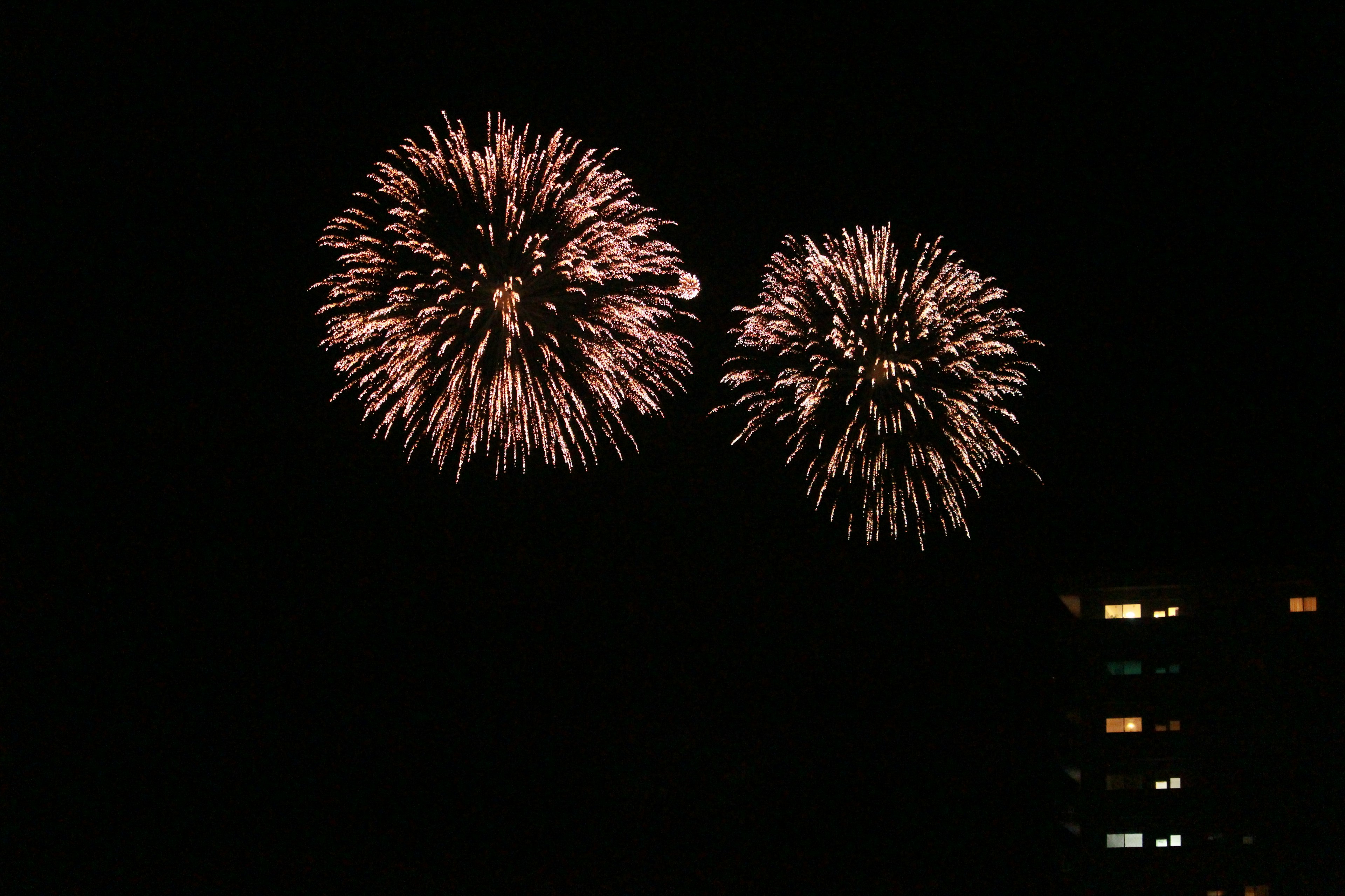 Two large fireworks bursting in the night sky