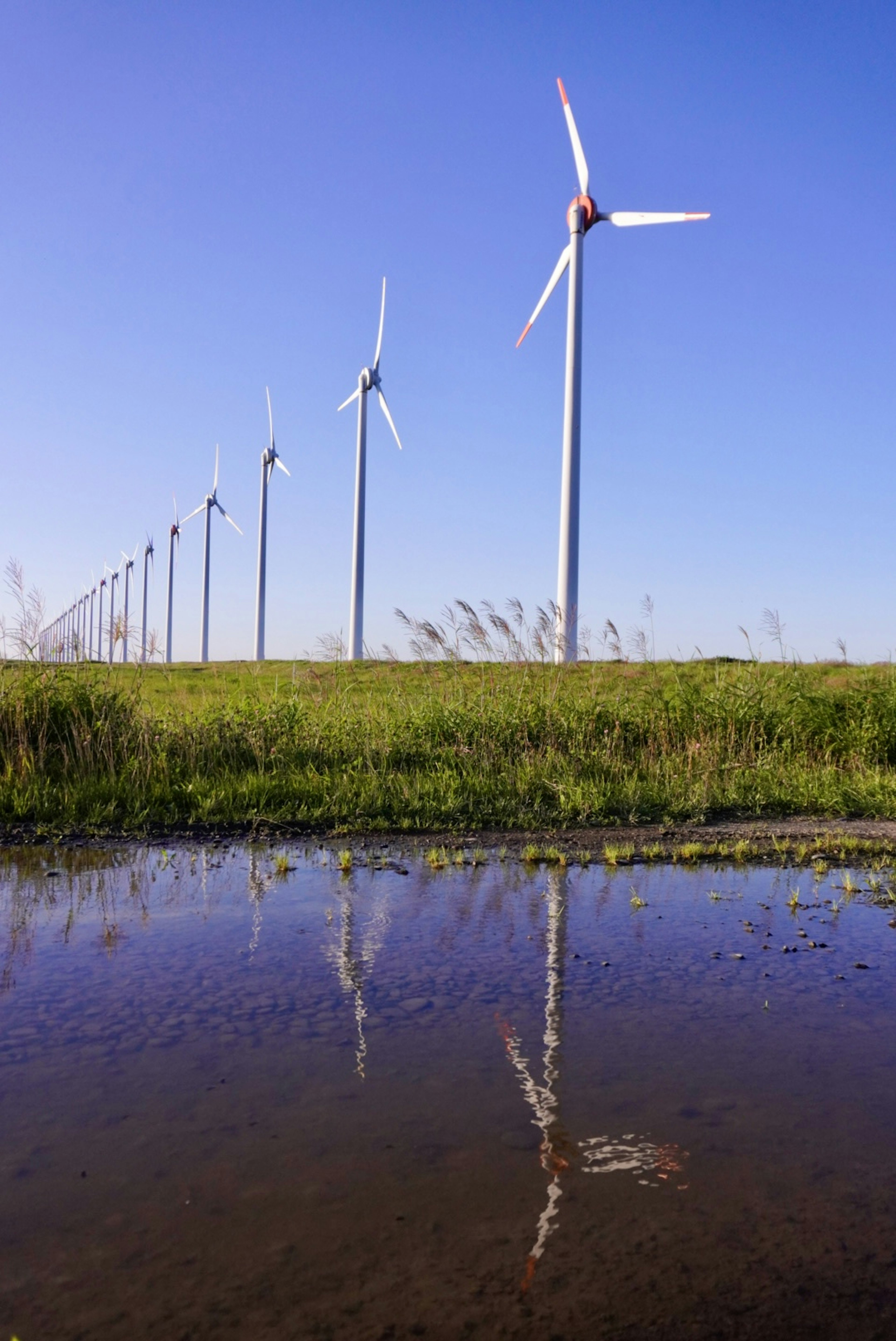 Landscape with wind turbines and reflection in a puddle