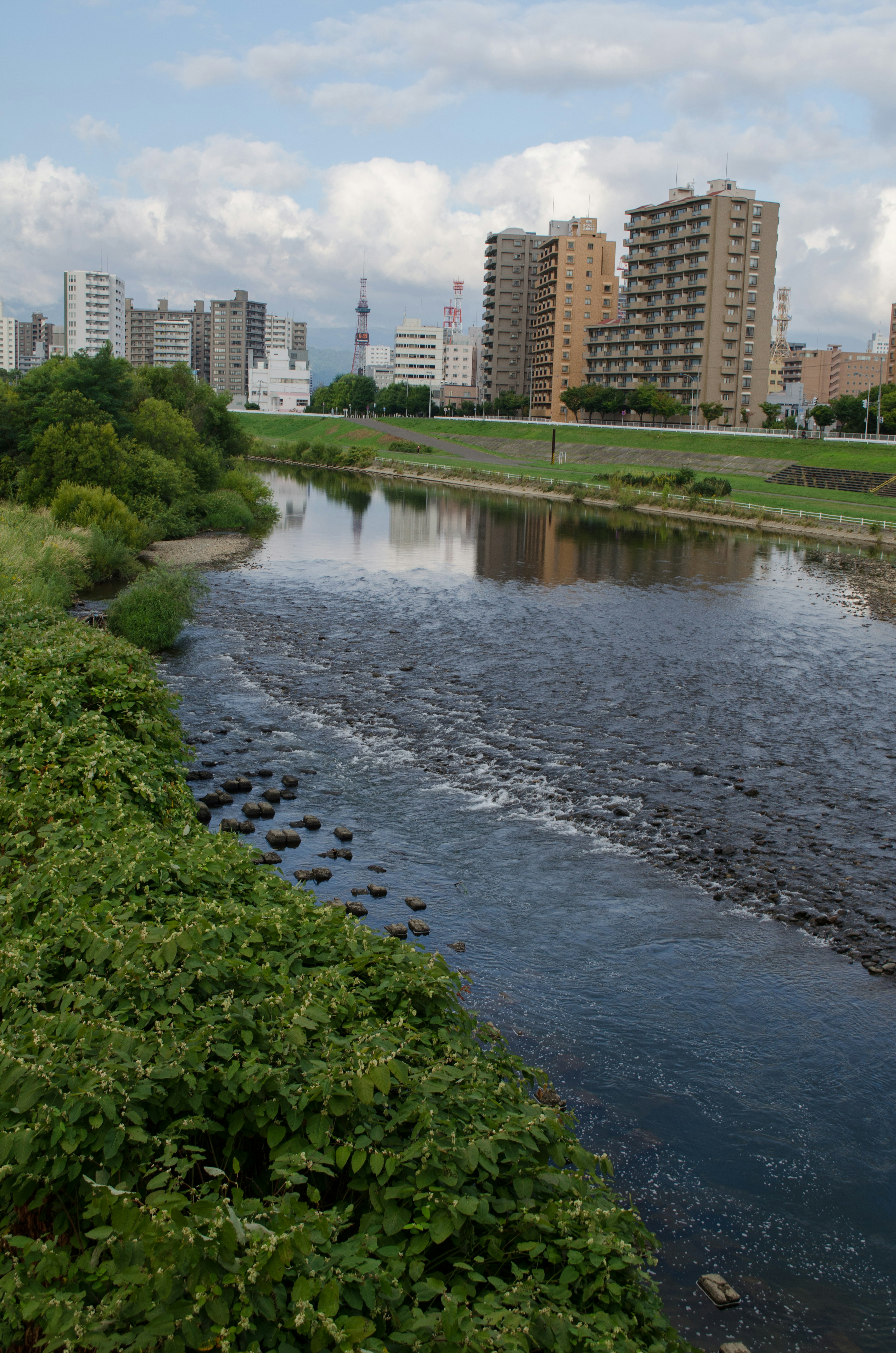 Área verde exuberante a lo largo de un río con un horizonte urbano al fondo