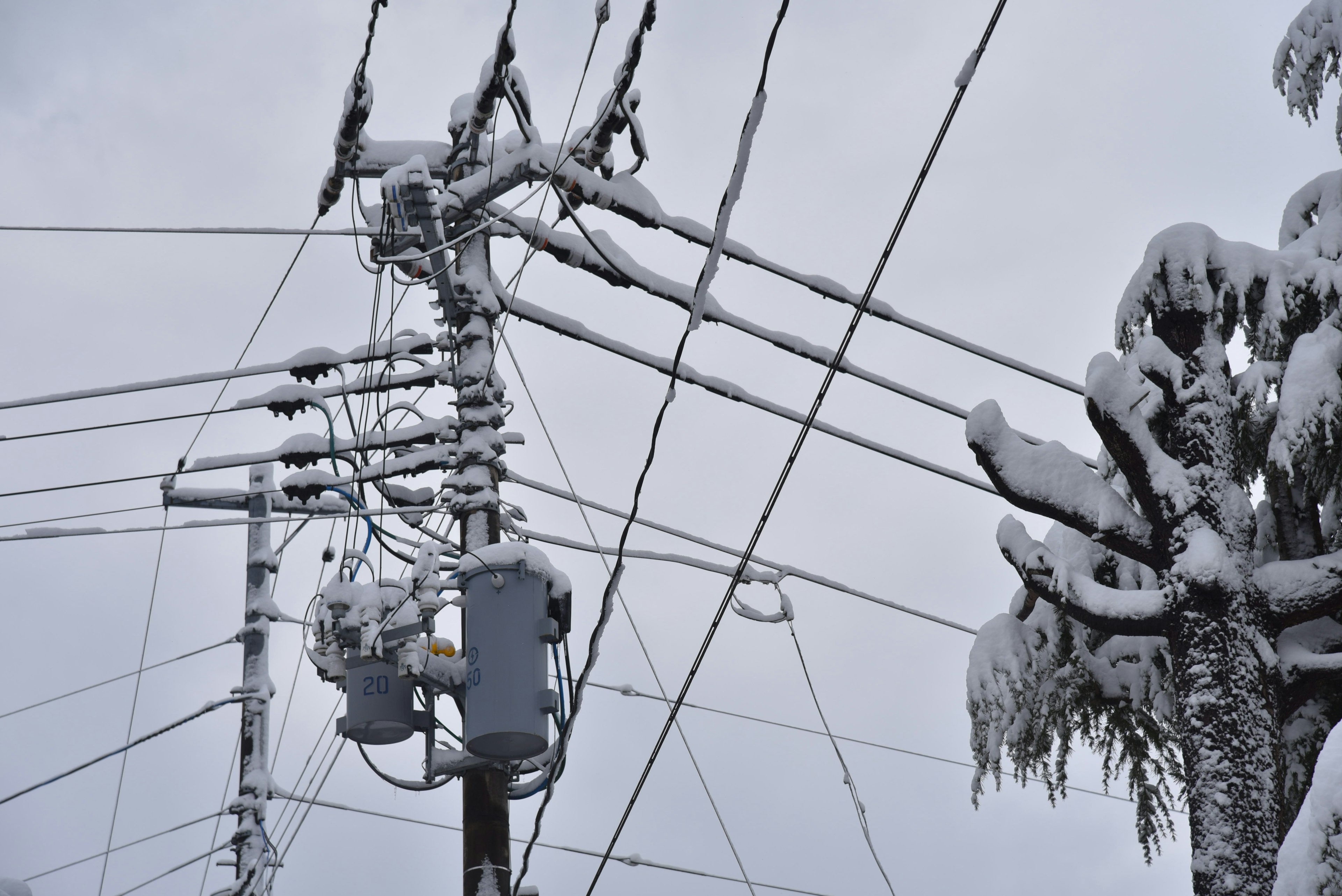 Snow-covered power lines and poles in a winter scene