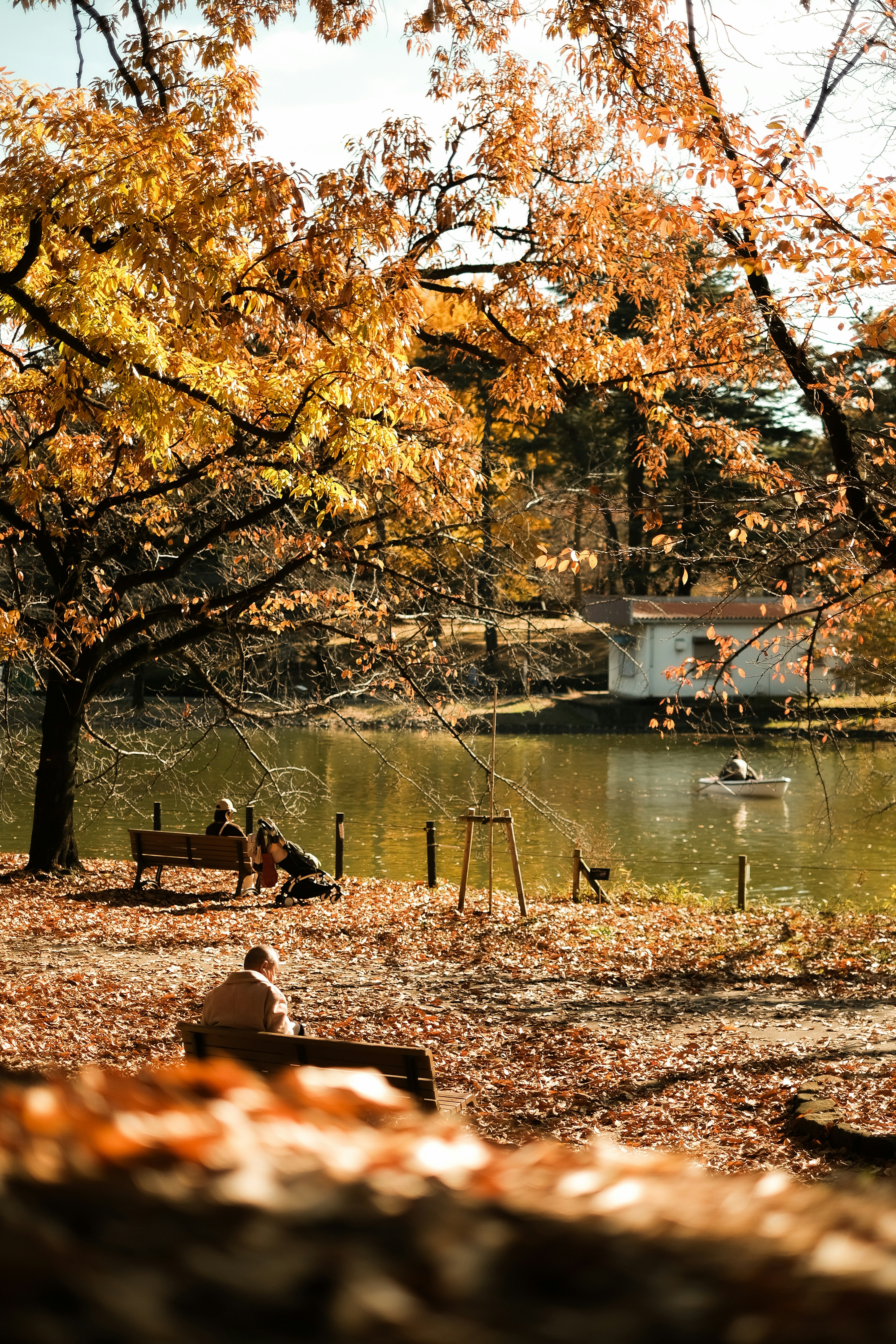 People relaxing near a pond surrounded by autumn foliage