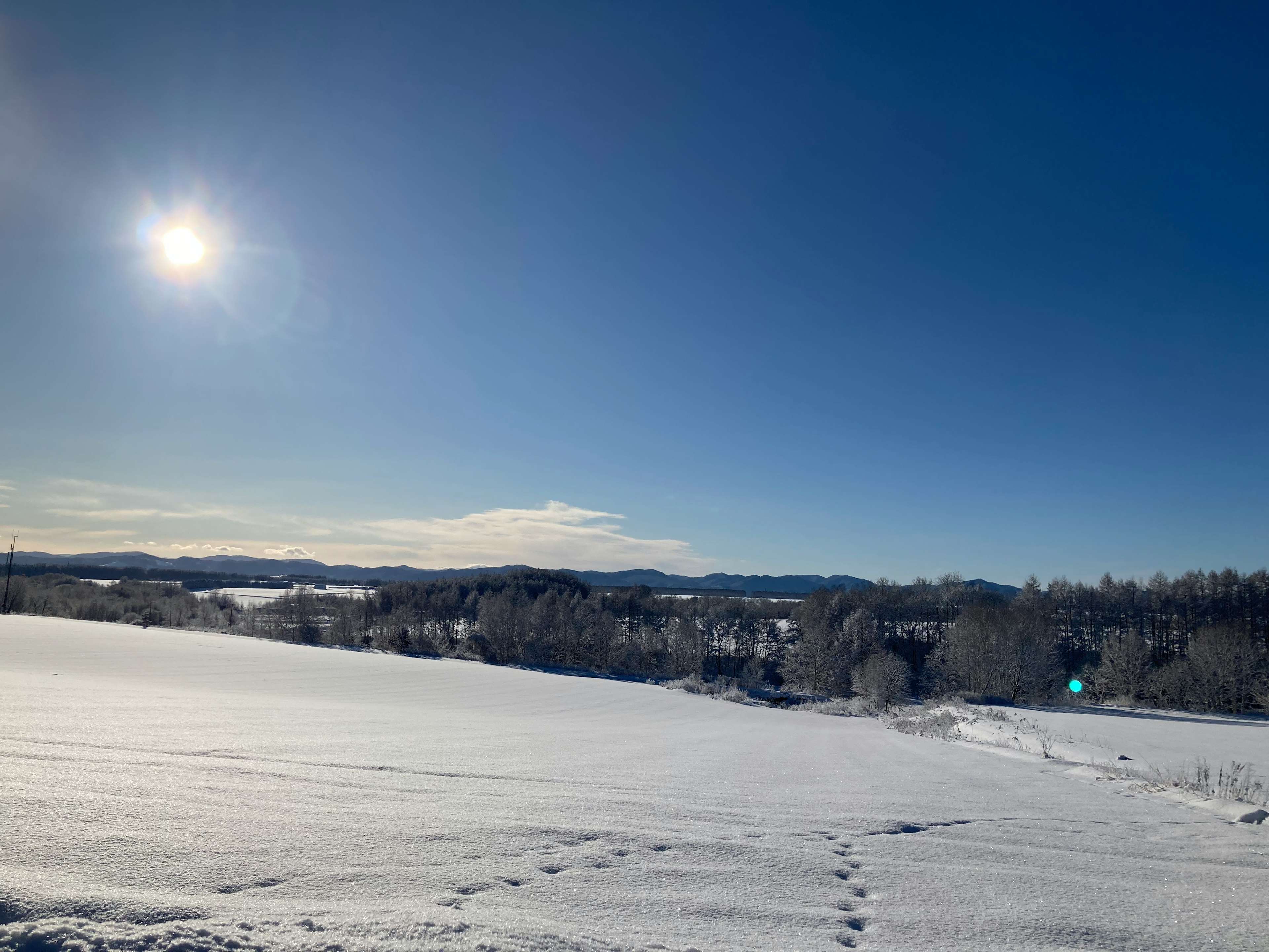 雪に覆われた風景と青空の下に輝く太陽