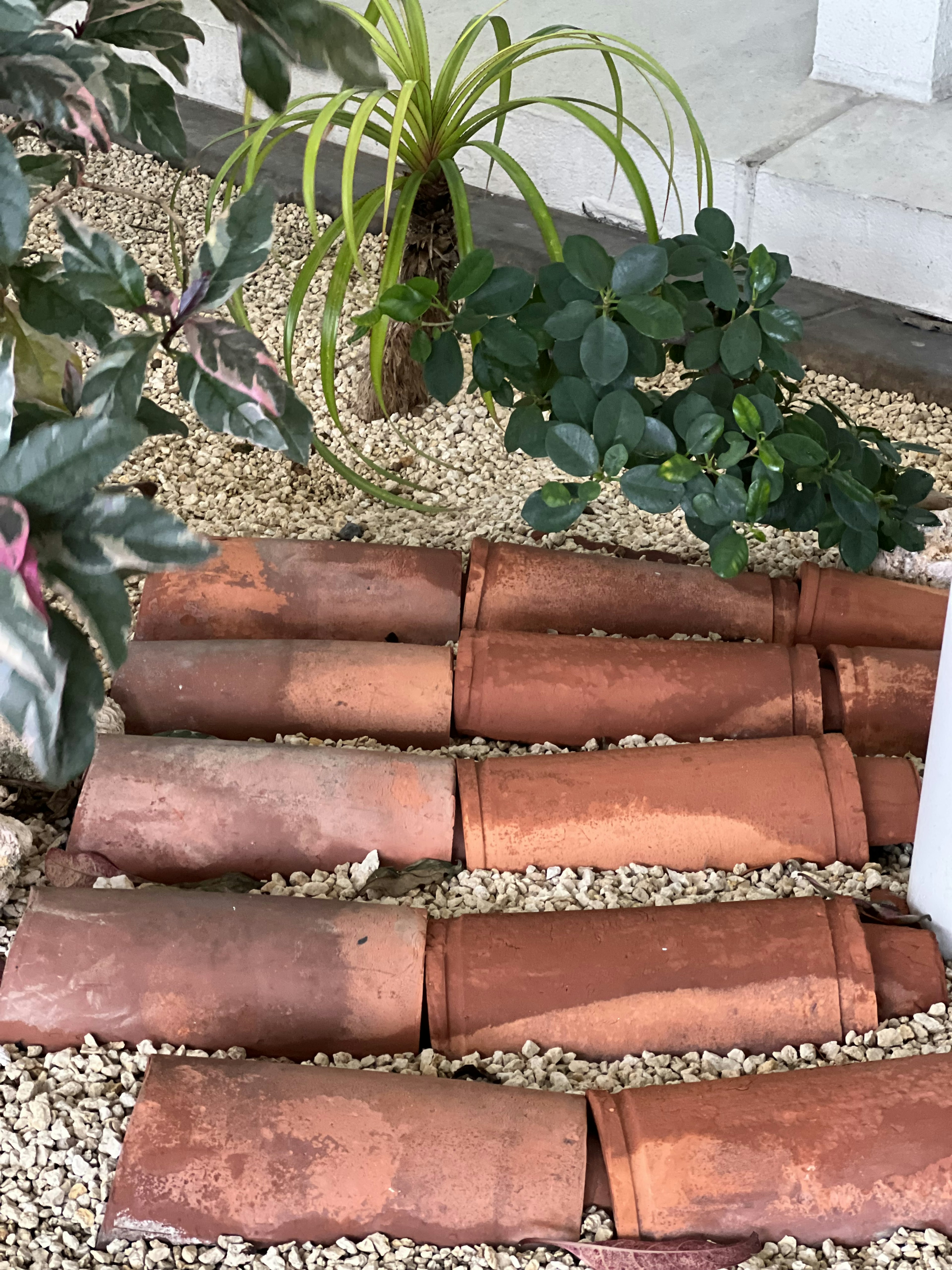 Dalles en terre cuite formant un chemin dans un jardin avec des gravillons et des plantes environnantes