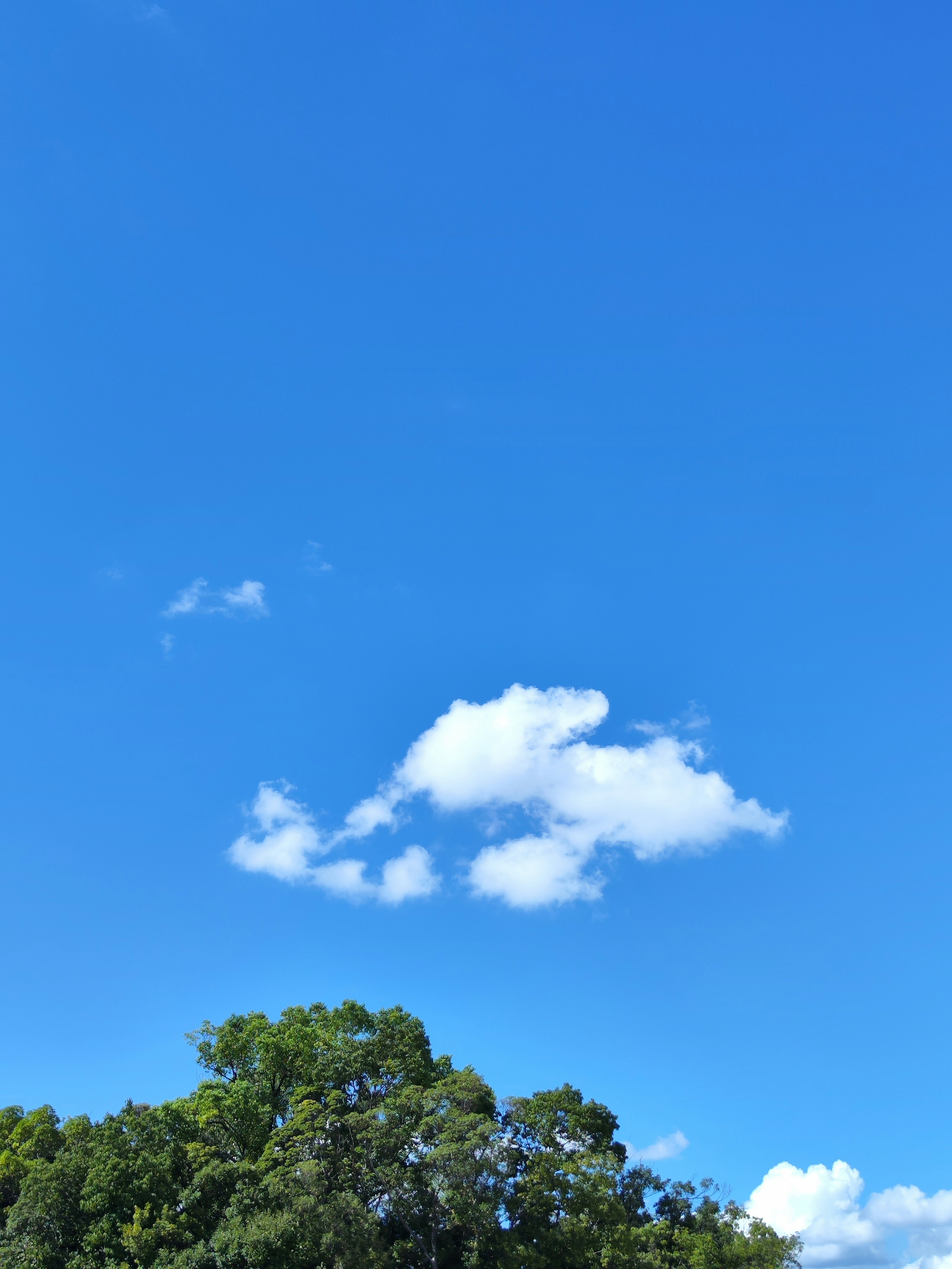 Awan putih mengapung di langit biru cerah dengan pohon hijau di bawah