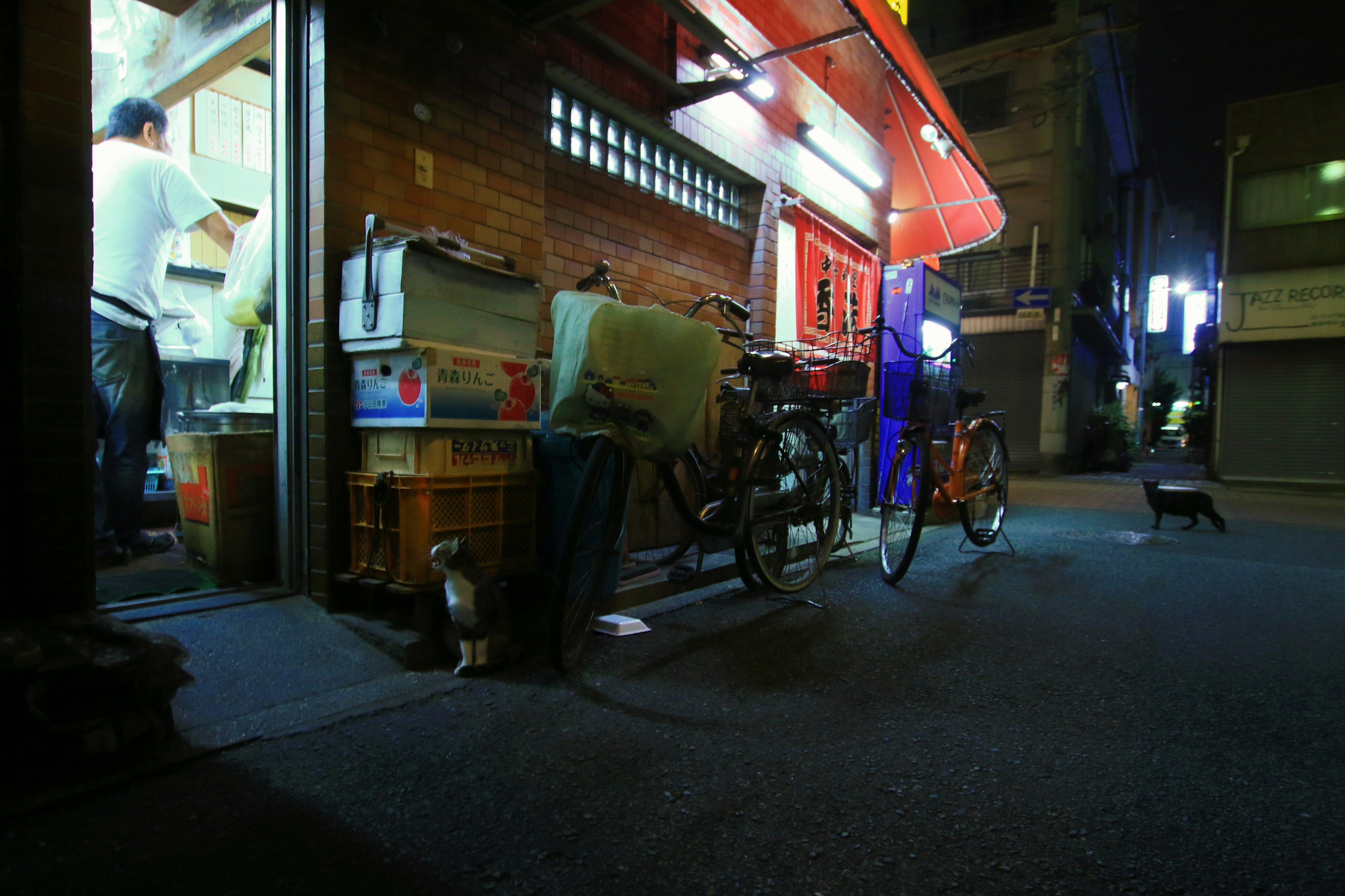 Street food stall at night with a bicycle and a cat