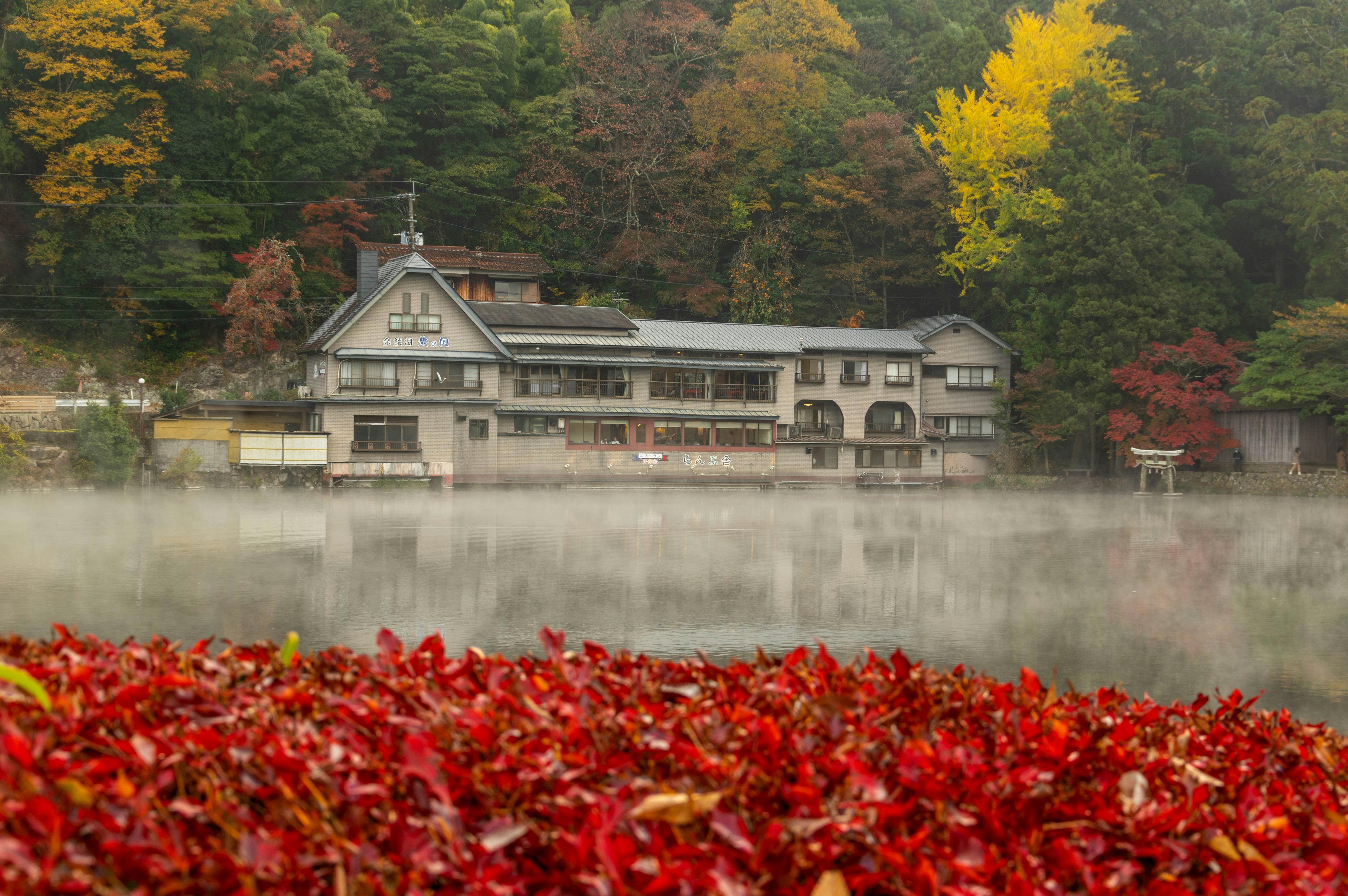 Hébergement entouré de feuillage d'automne et de feuilles rouges dans la brume