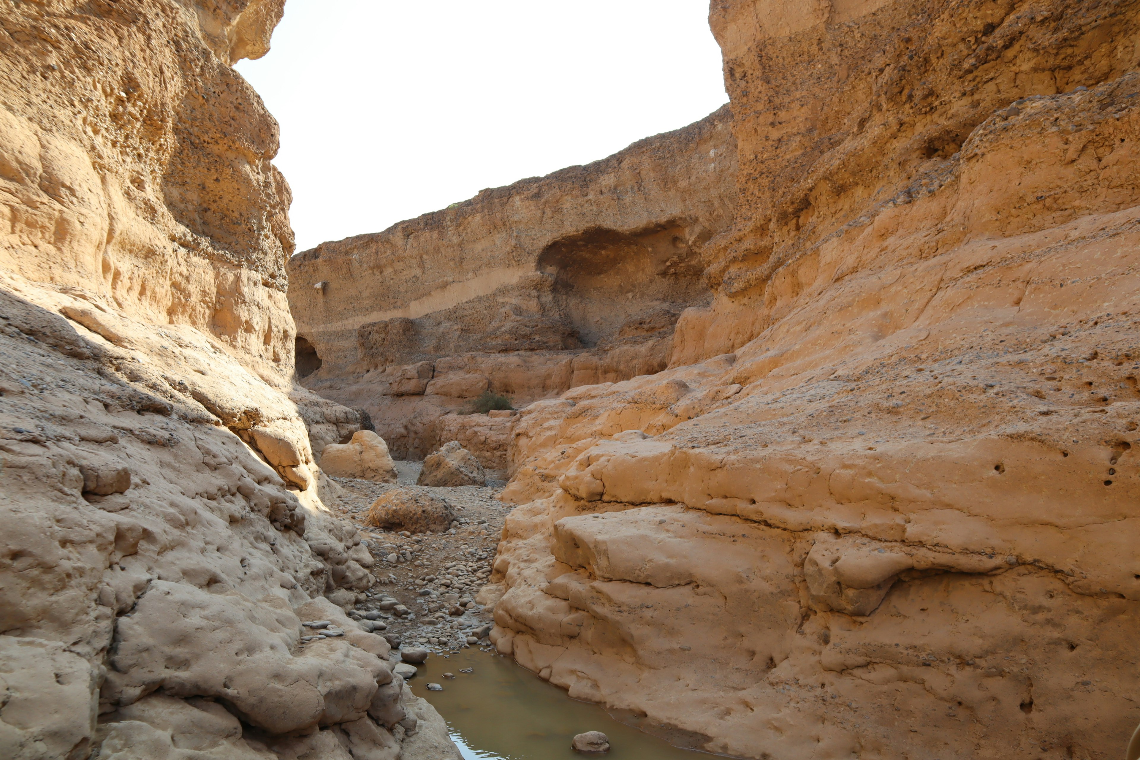 Dry canyon landscape with layered rock formations