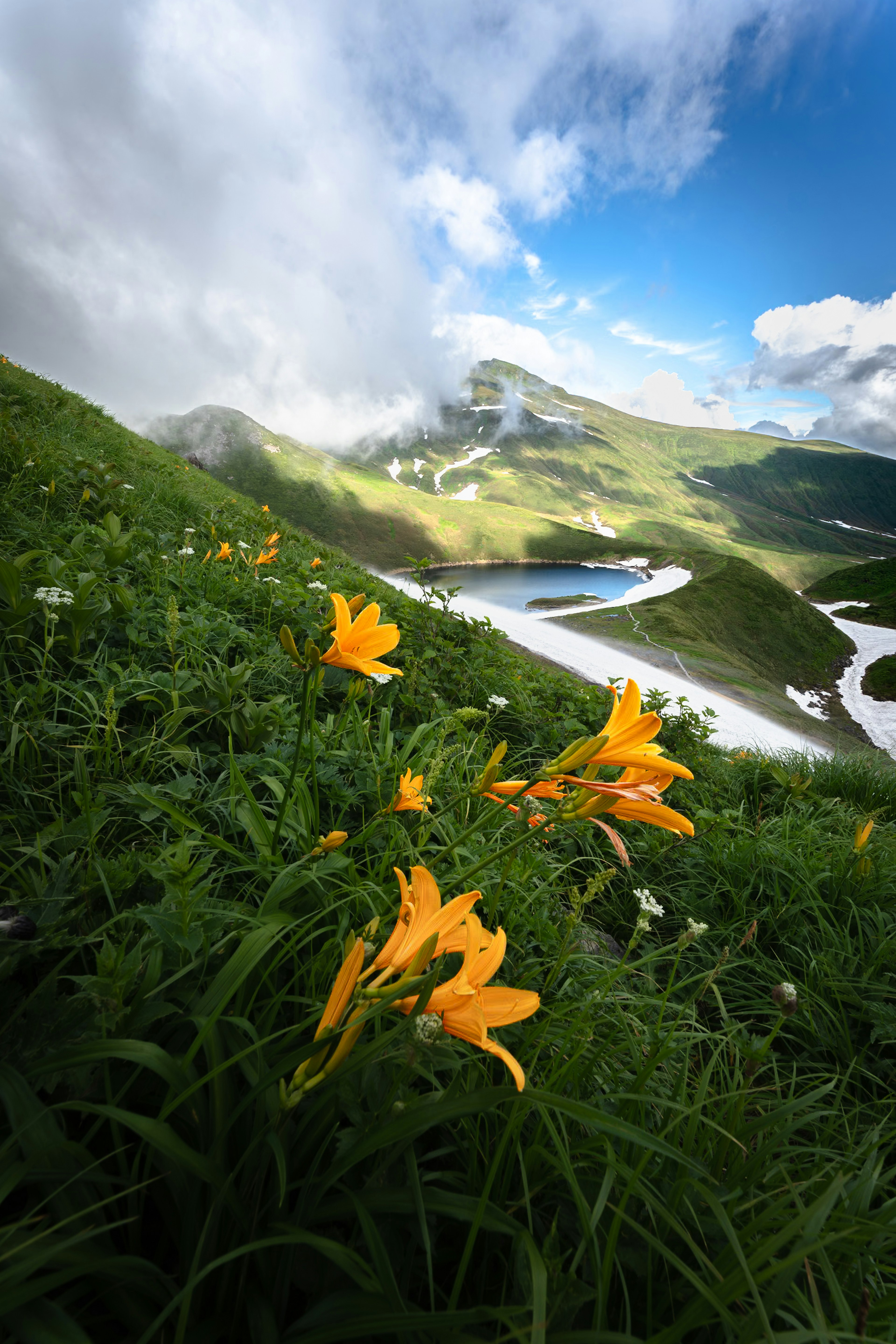 美麗的山景，盛開的黃色花朵和藍天