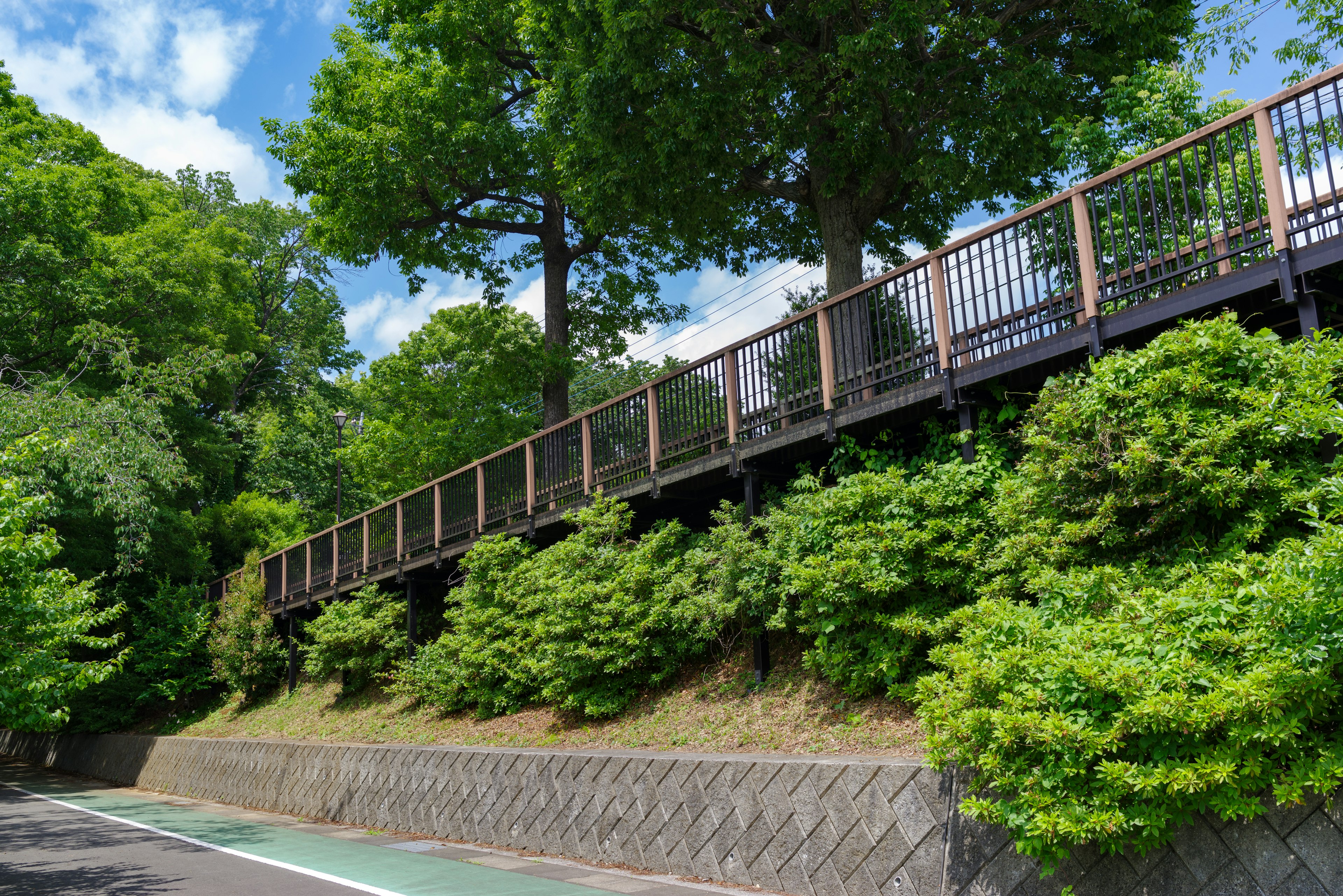 Elevated wooden deck surrounded by lush greenery and trees